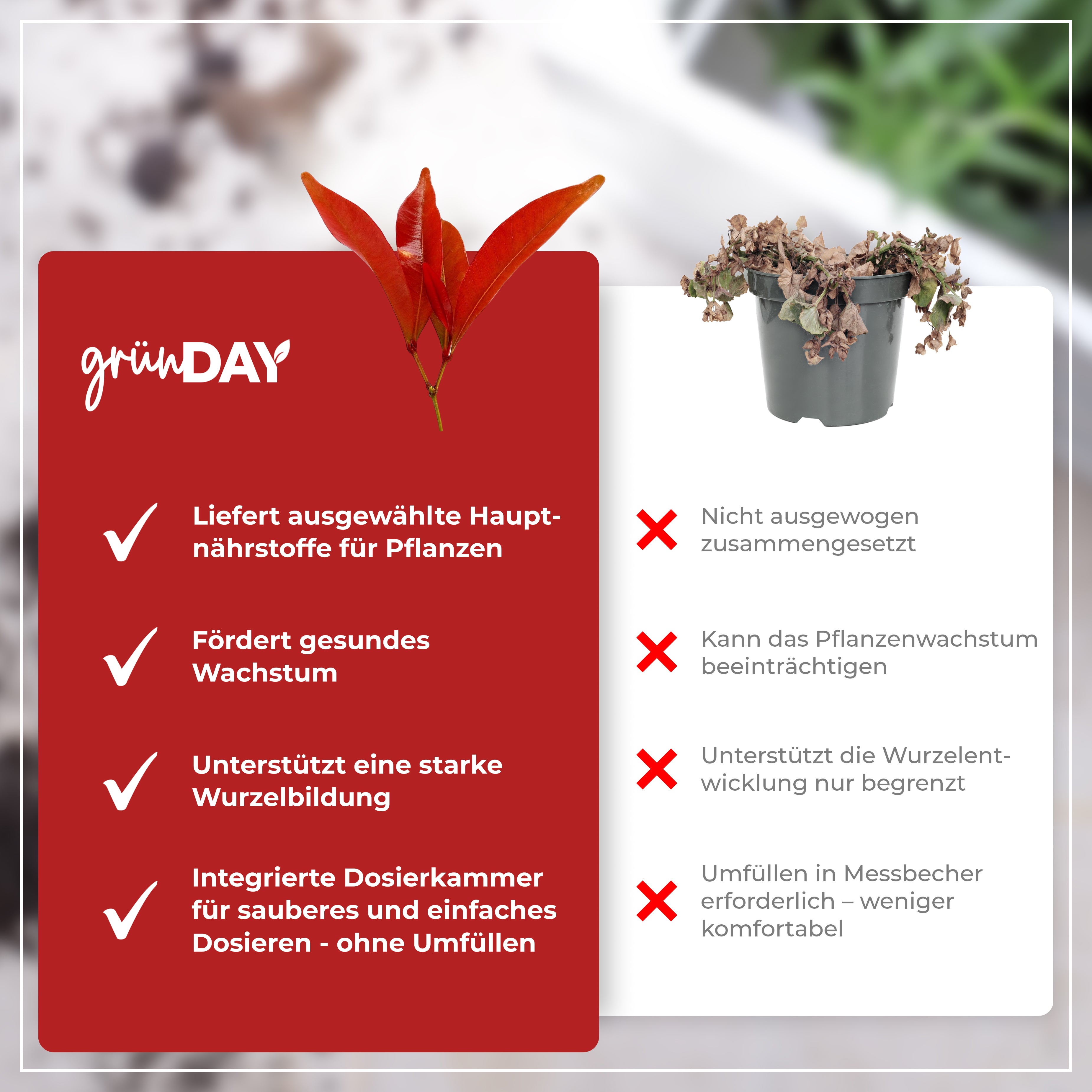 Gründay Red Robin Dünger – Produktansicht 6