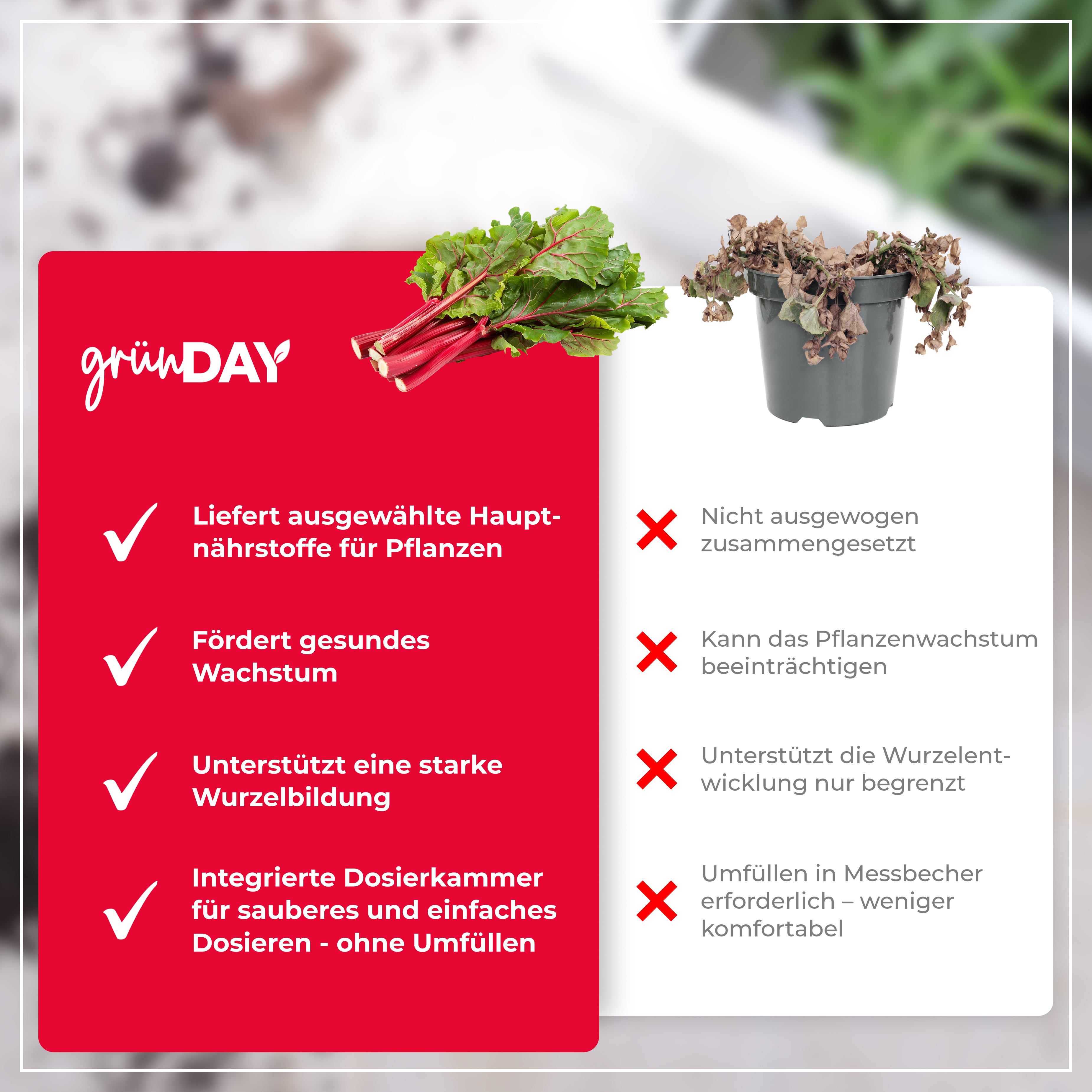 Gründay Rhabarber-Dünger – Produktansicht 6