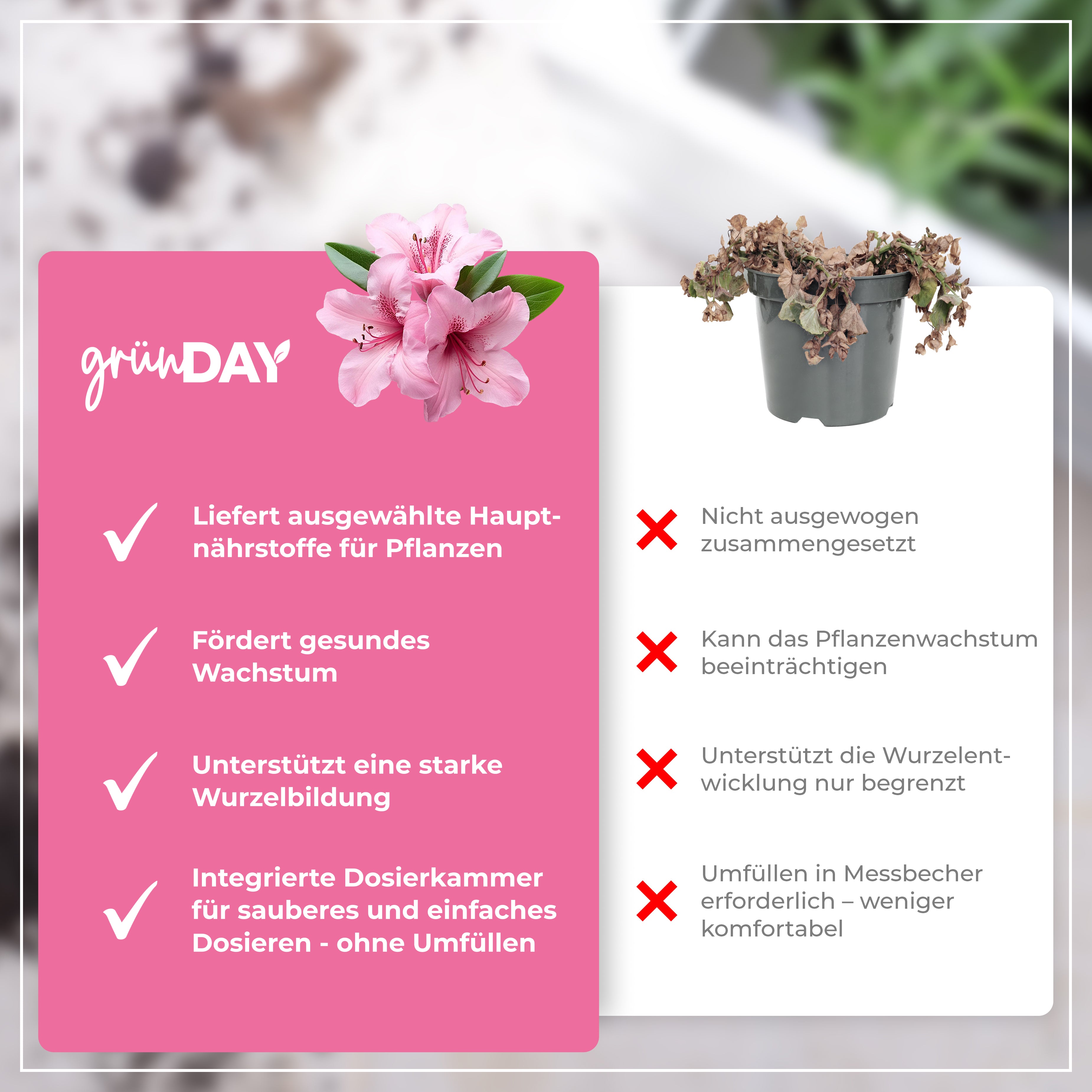Gründay Rhododendrondünger – Produktansicht 6