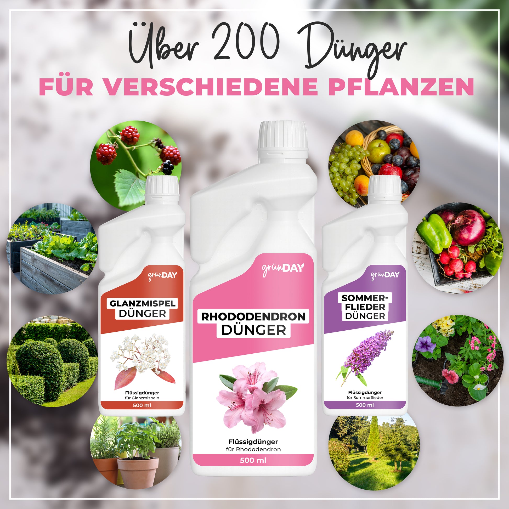 Gründay Rhododendrondünger – Produktansicht 7