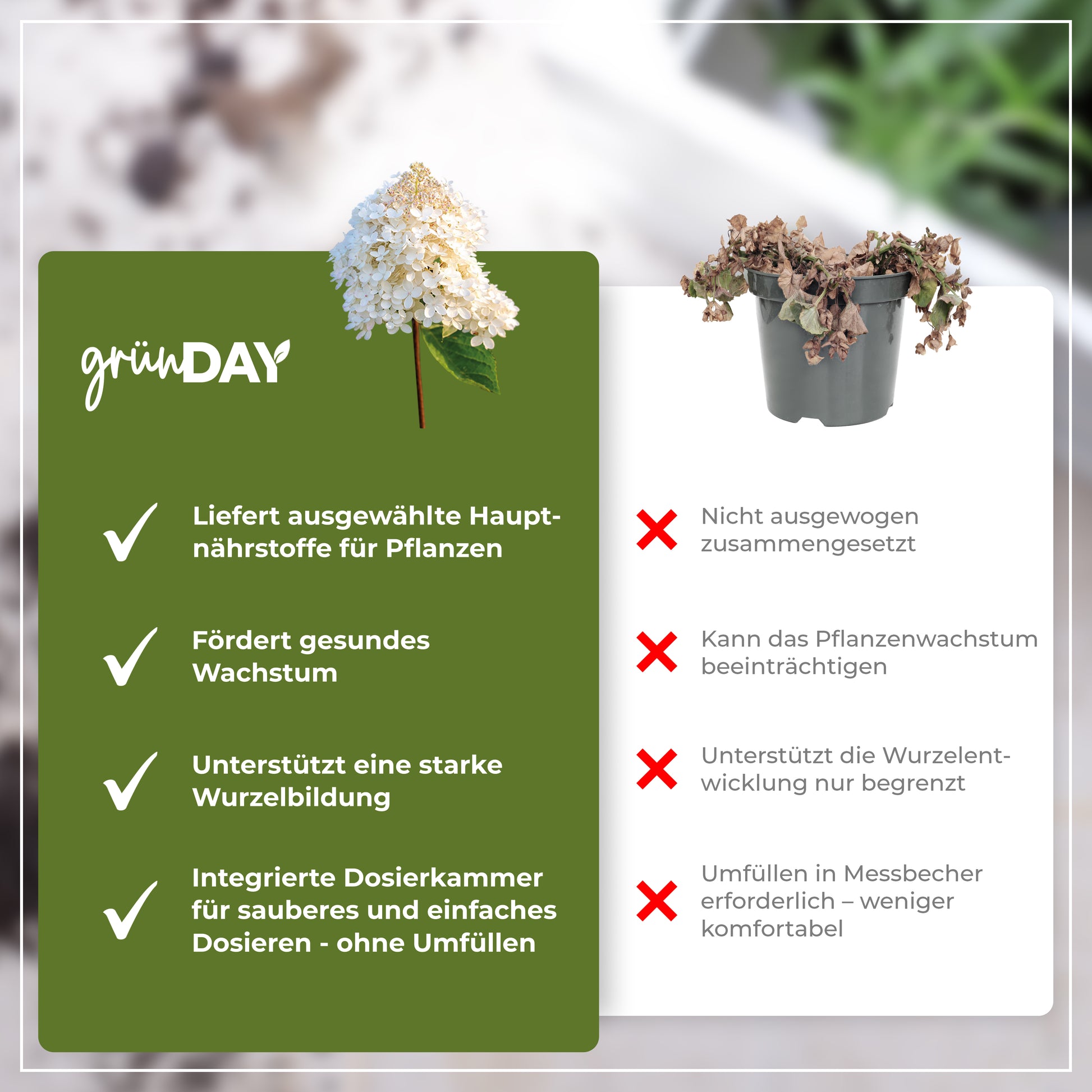 Gründay Rispenhortensie Dünger – Produktansicht 6