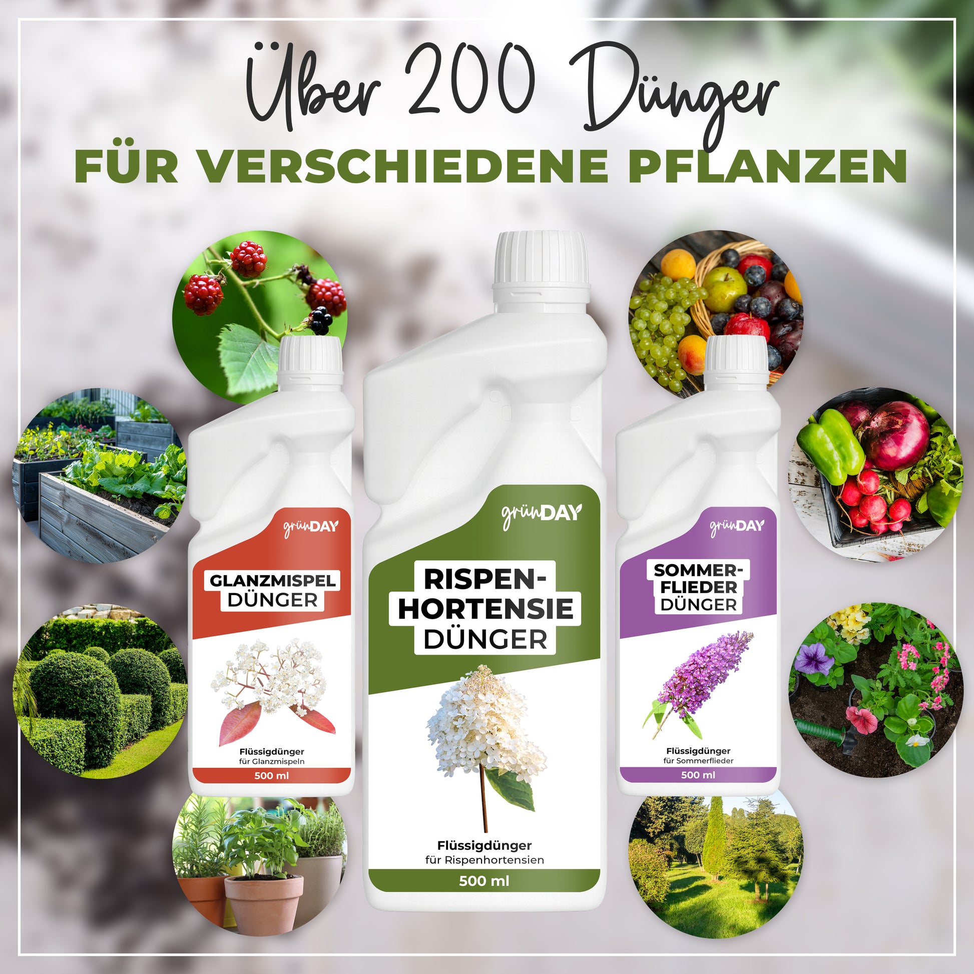 Gründay Rispenhortensie Dünger – Produktansicht 7