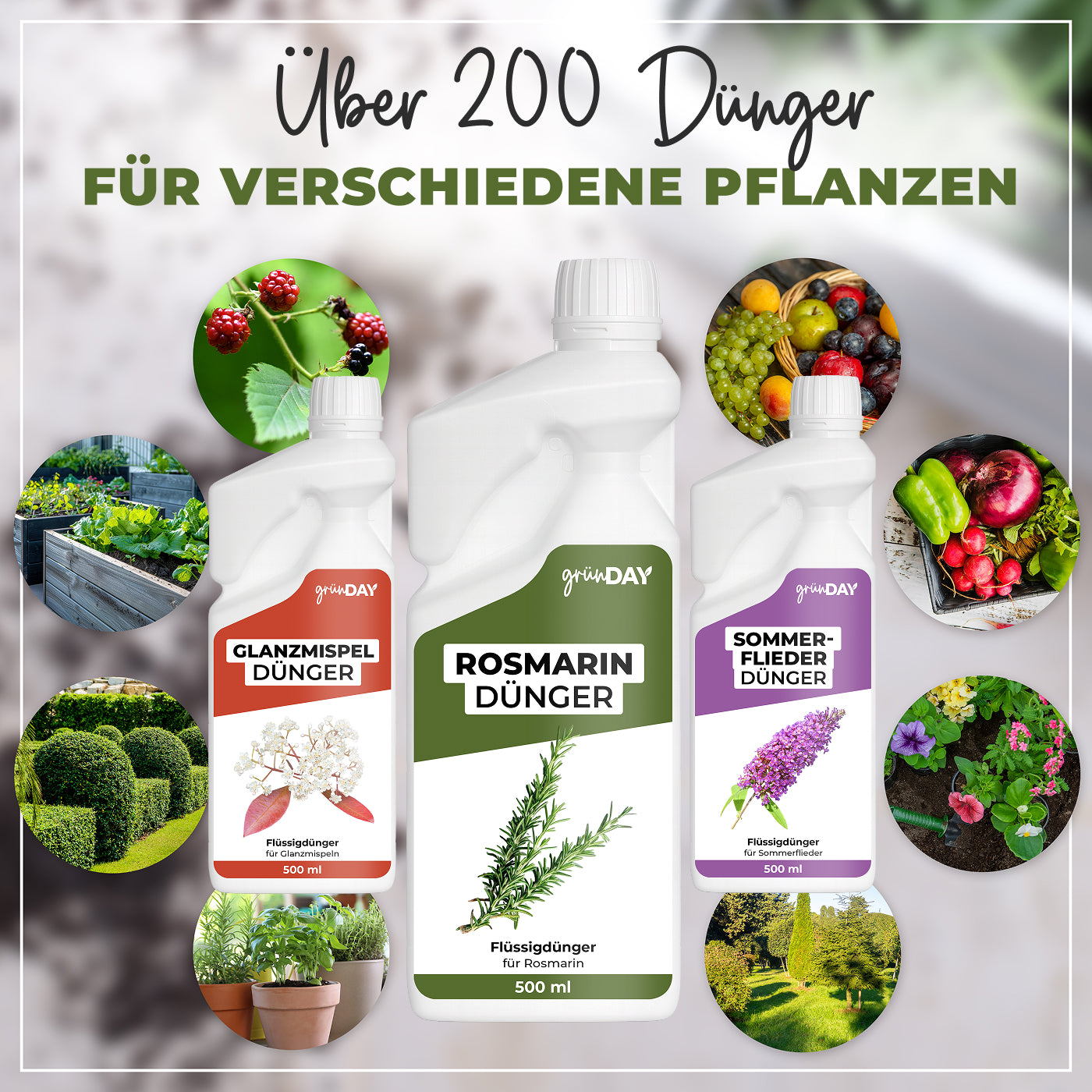 Gründay Rosmarindünger – Produktansicht 7