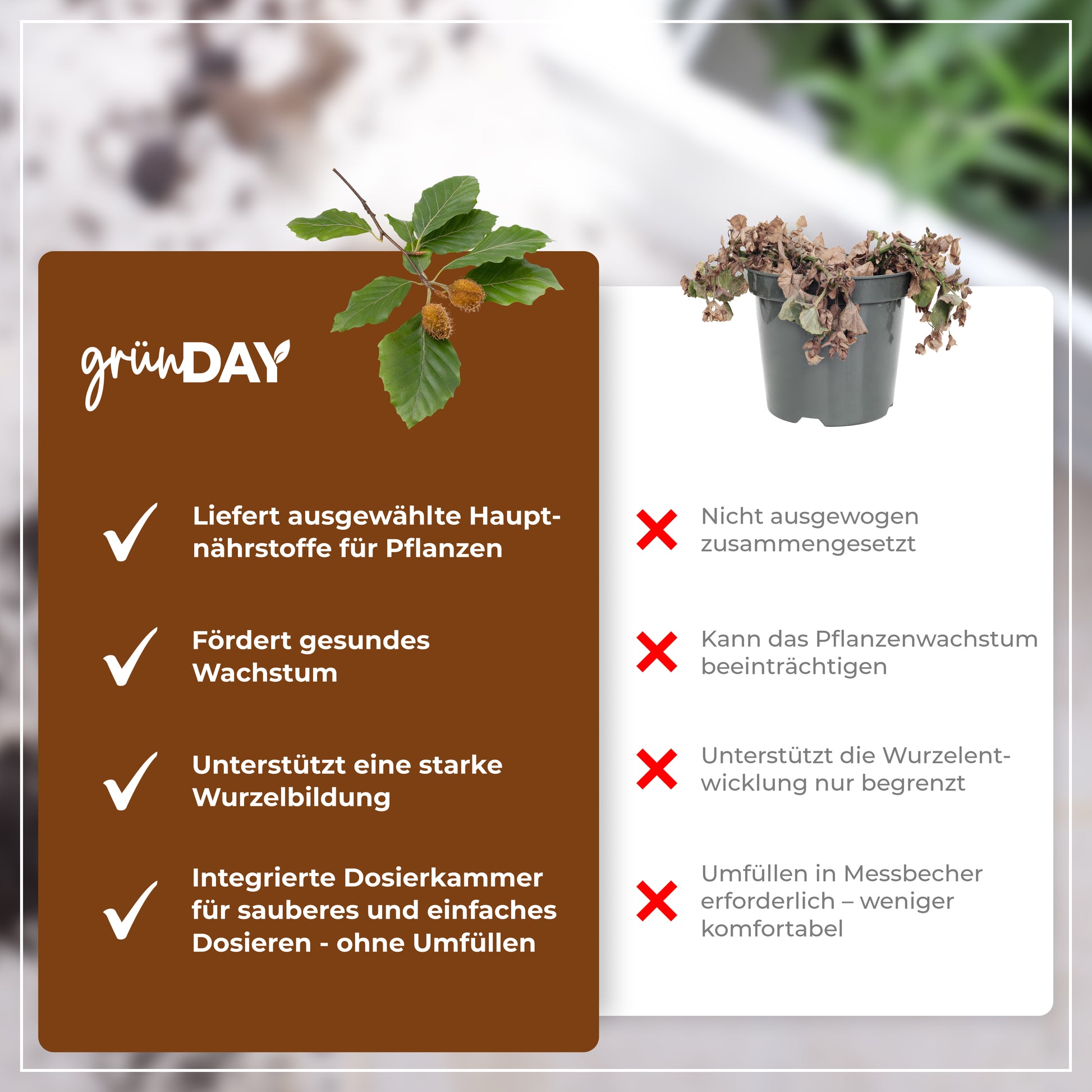 Gründay Rotbuchedünger – Produktansicht 6