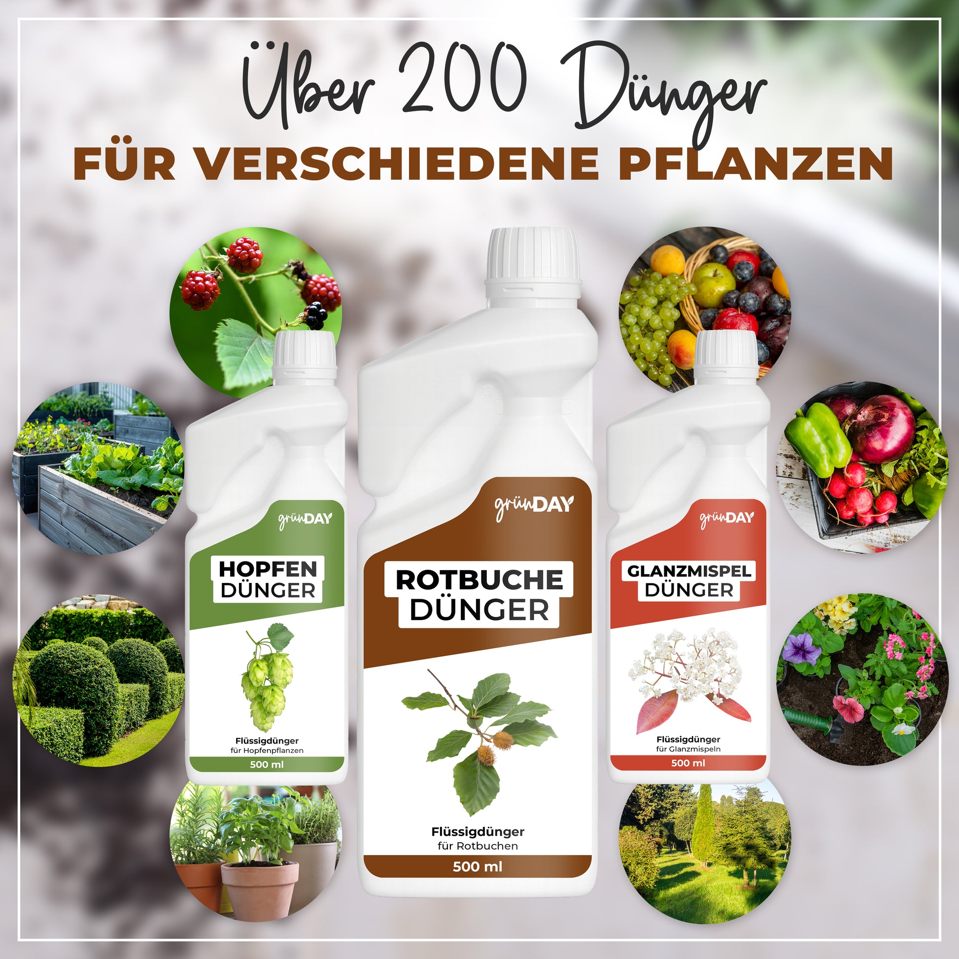 Gründay Rotbuchedünger – Produktansicht 7