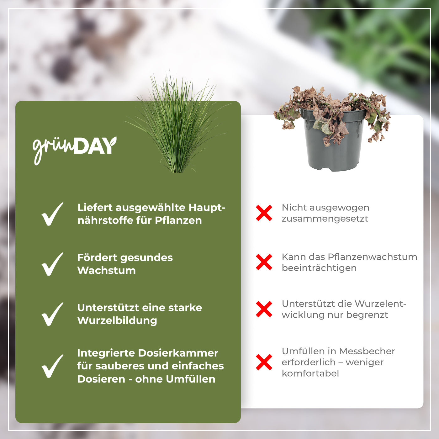 Gründay Rutenhirsedünger – Produktansicht 6