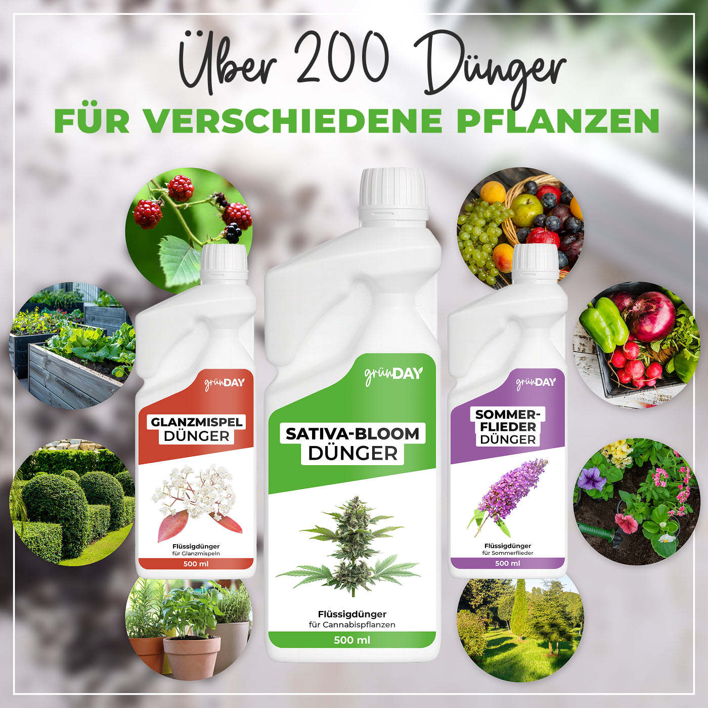 Gründay Sativa-Bloom-Dünger – Produktansicht 7