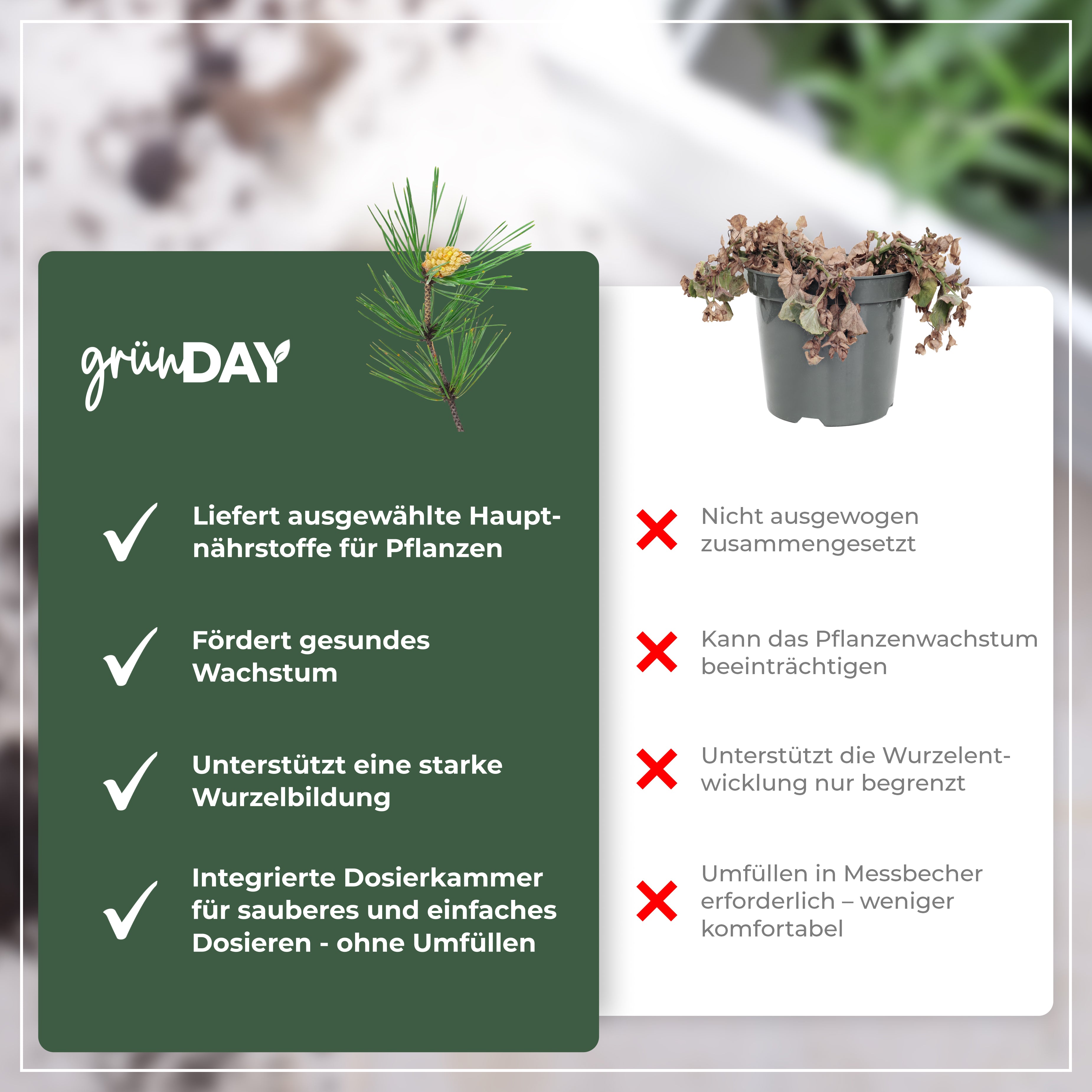 Gründay Schirmtanne Dünger – Produktansicht 6