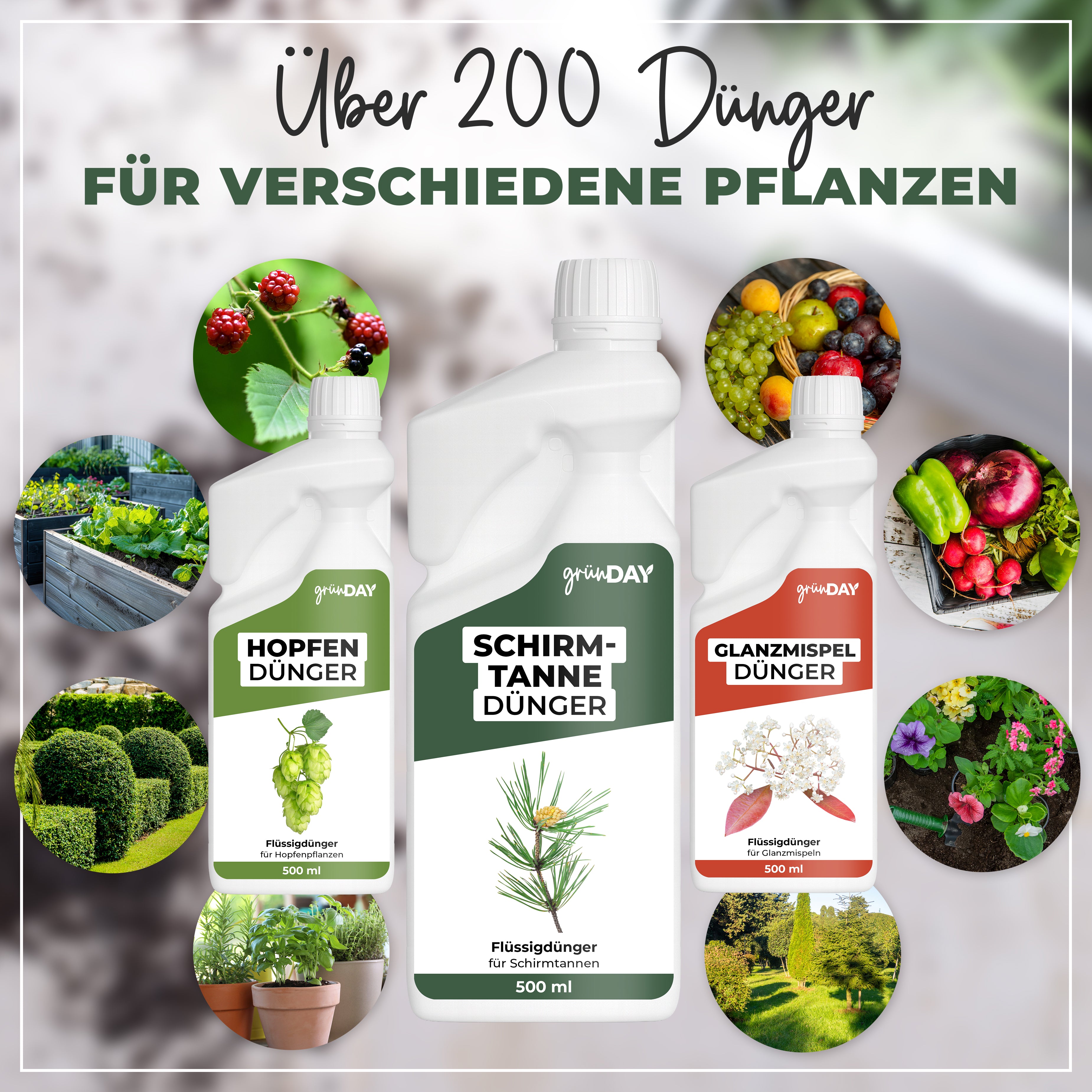 Gründay Schirmtanne Dünger – Produktansicht 7