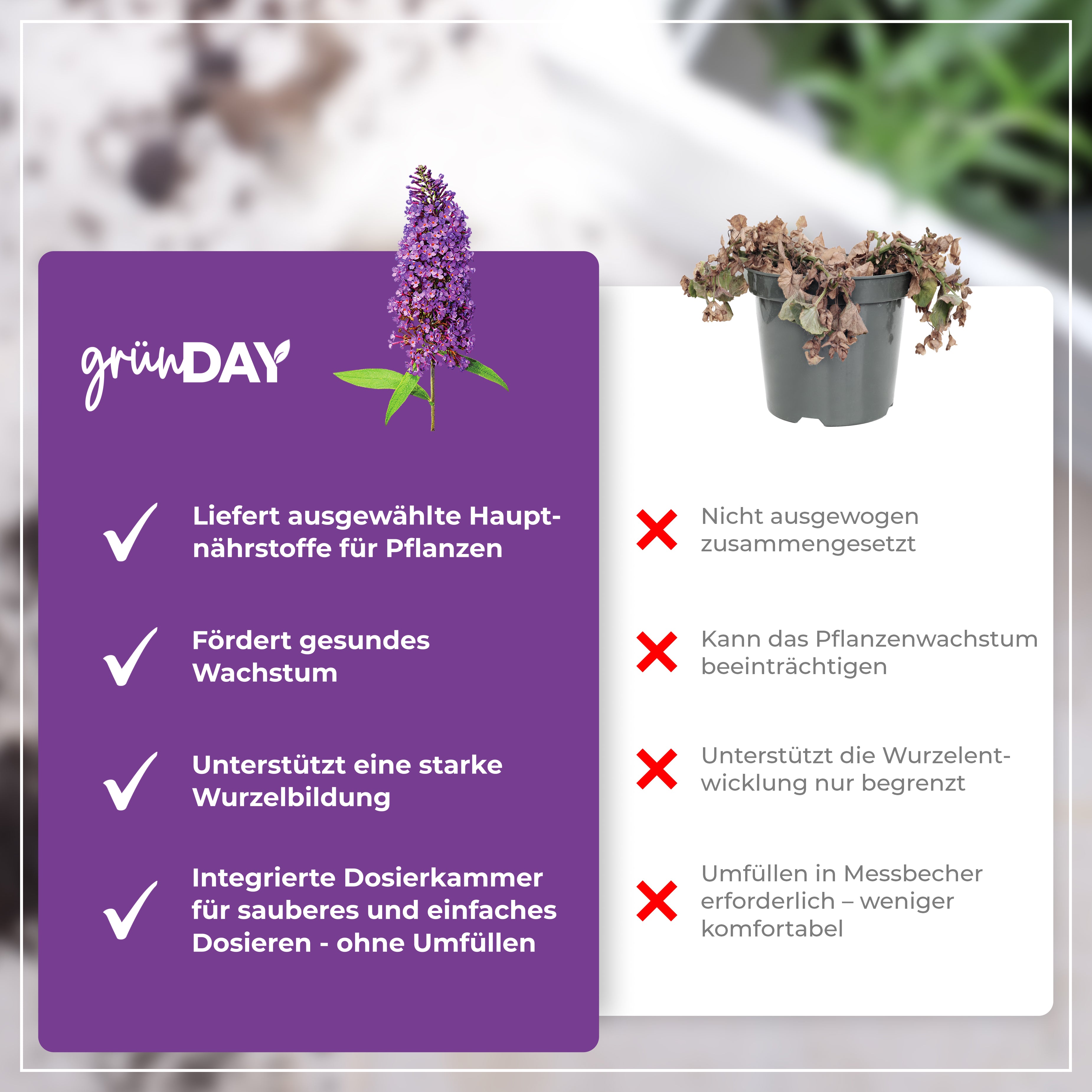 Gründay Schmetterlingsflieder Dünger – Produktansicht 6