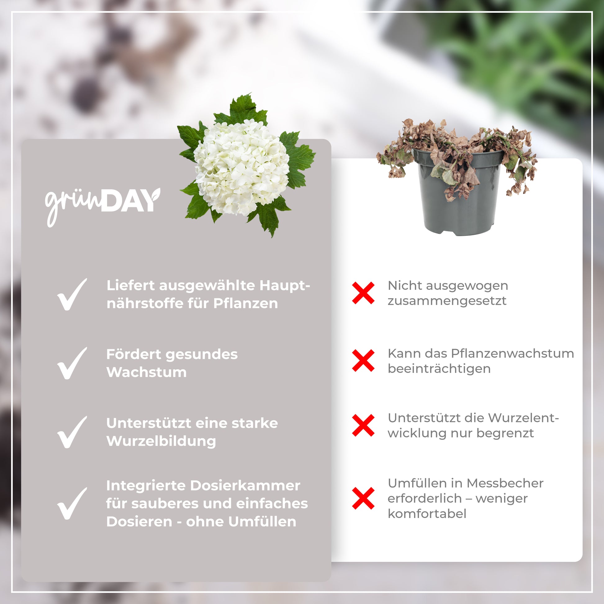 Gründay Schneeballdünger – Produktansicht 6