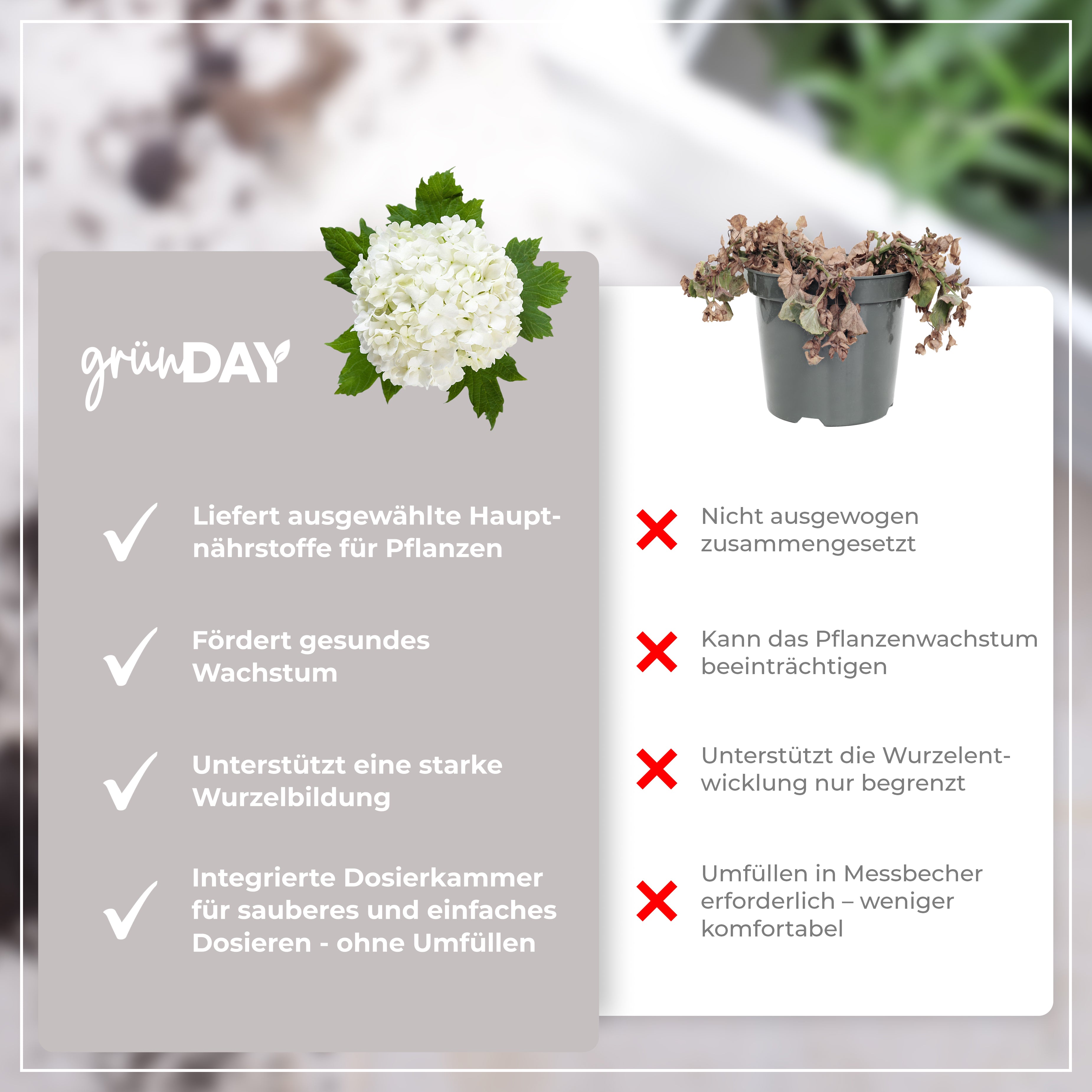 Gründay Schneeballdünger – Produktansicht 6