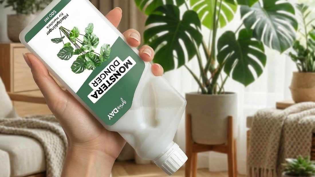 <strong>1. Schritt</strong>