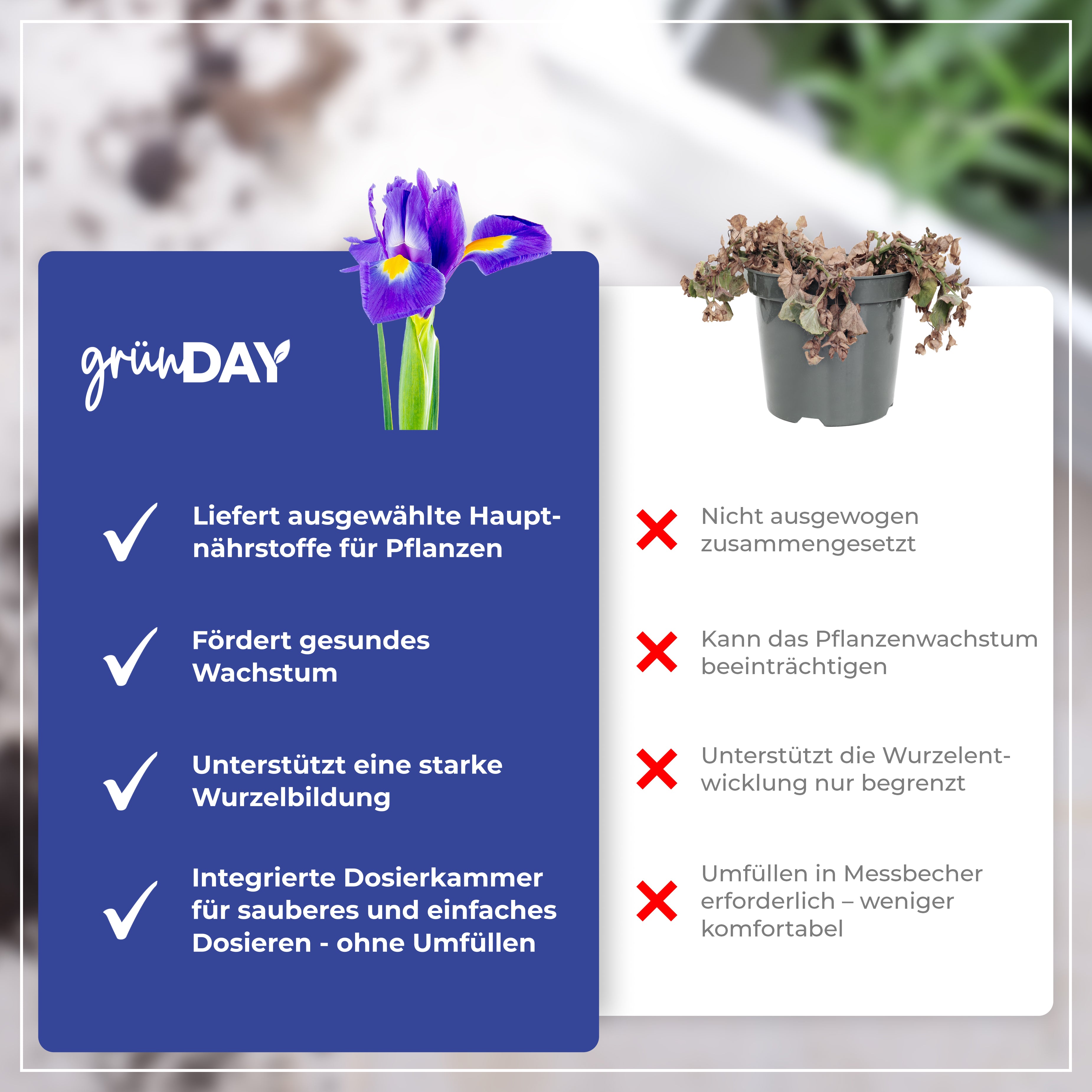 Gründay Schwertliliendünger – Produktansicht 6