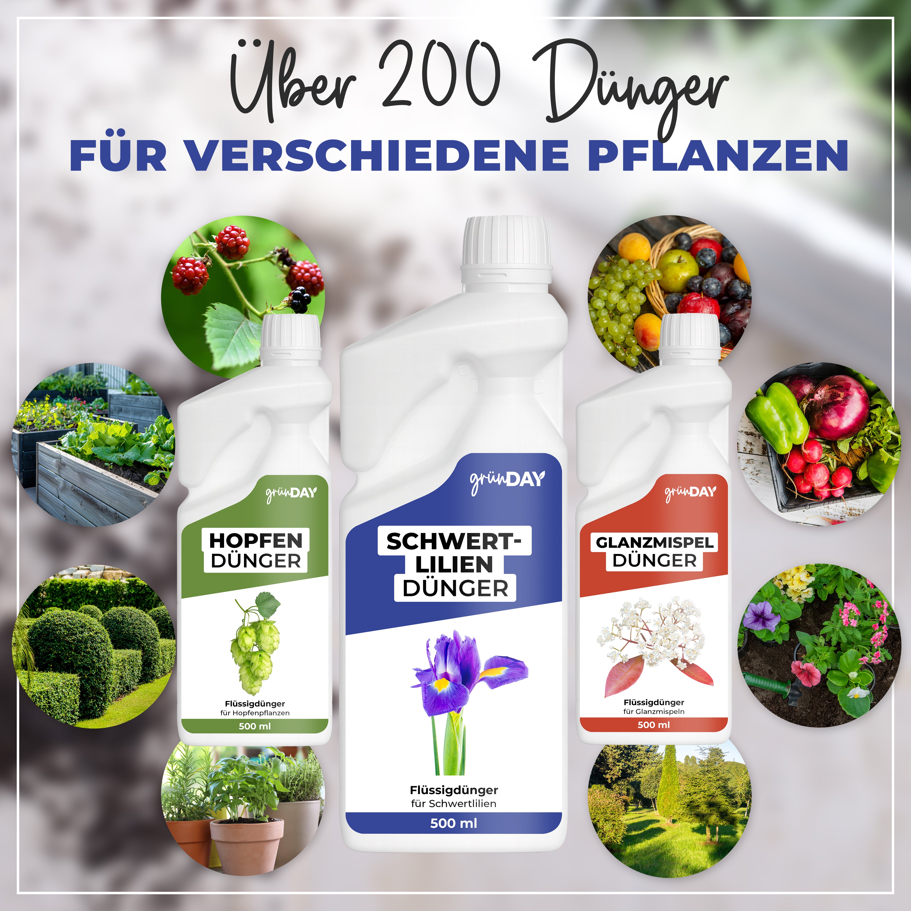 Gründay Schwertliliendünger – Produktansicht 7