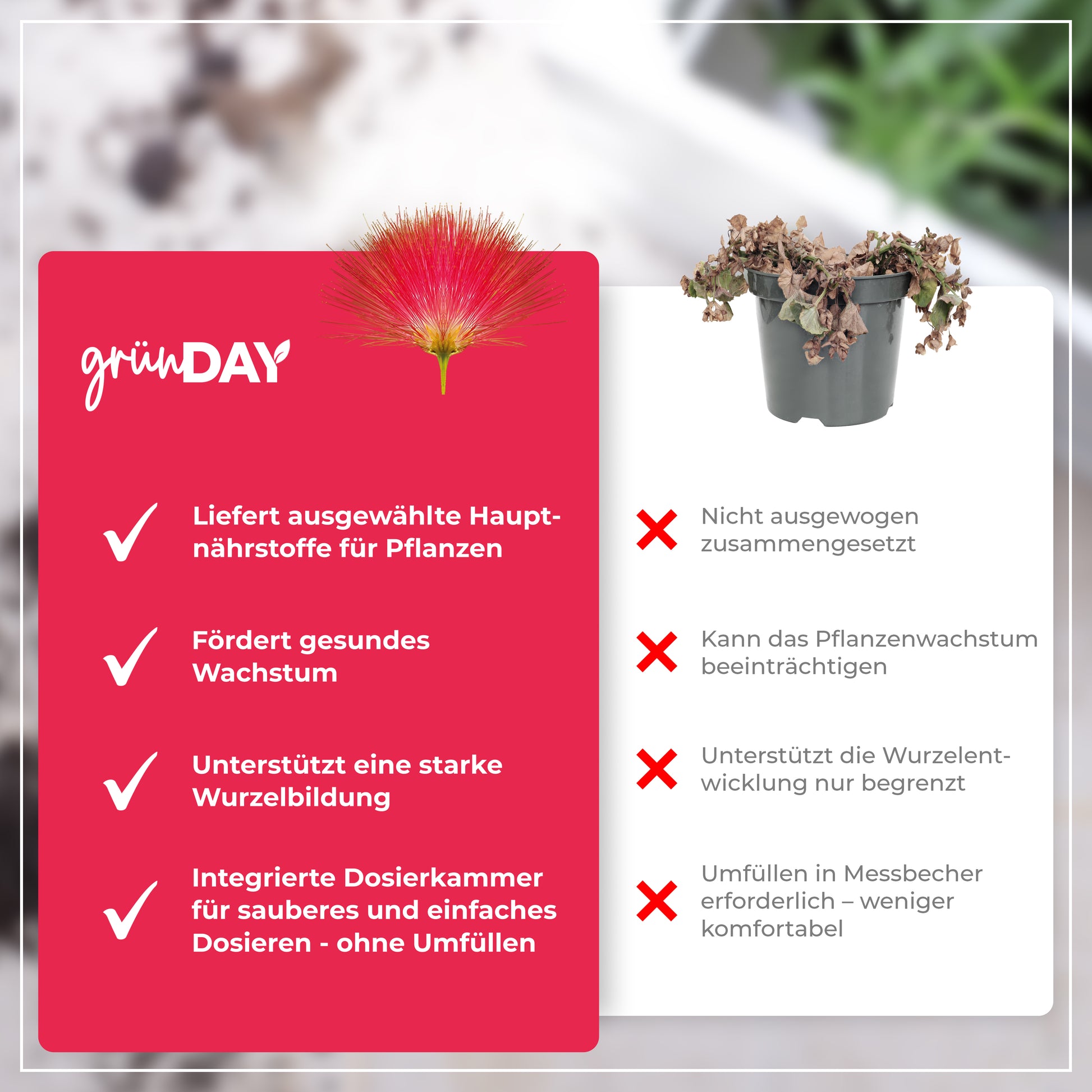 Gründay Seidenbaum Dünger – Produktansicht 6
