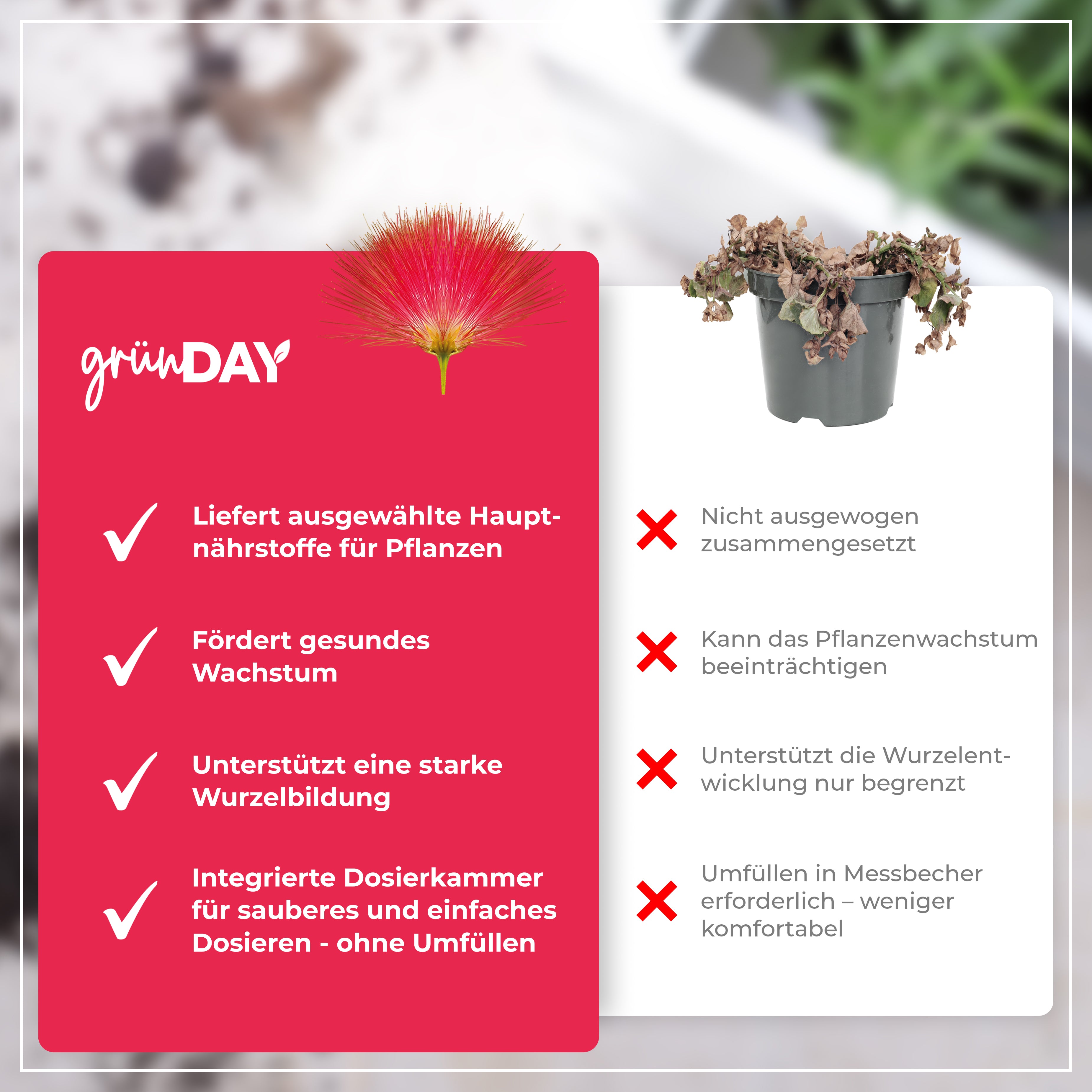 Gründay Seidenbaum Dünger – Produktansicht 6