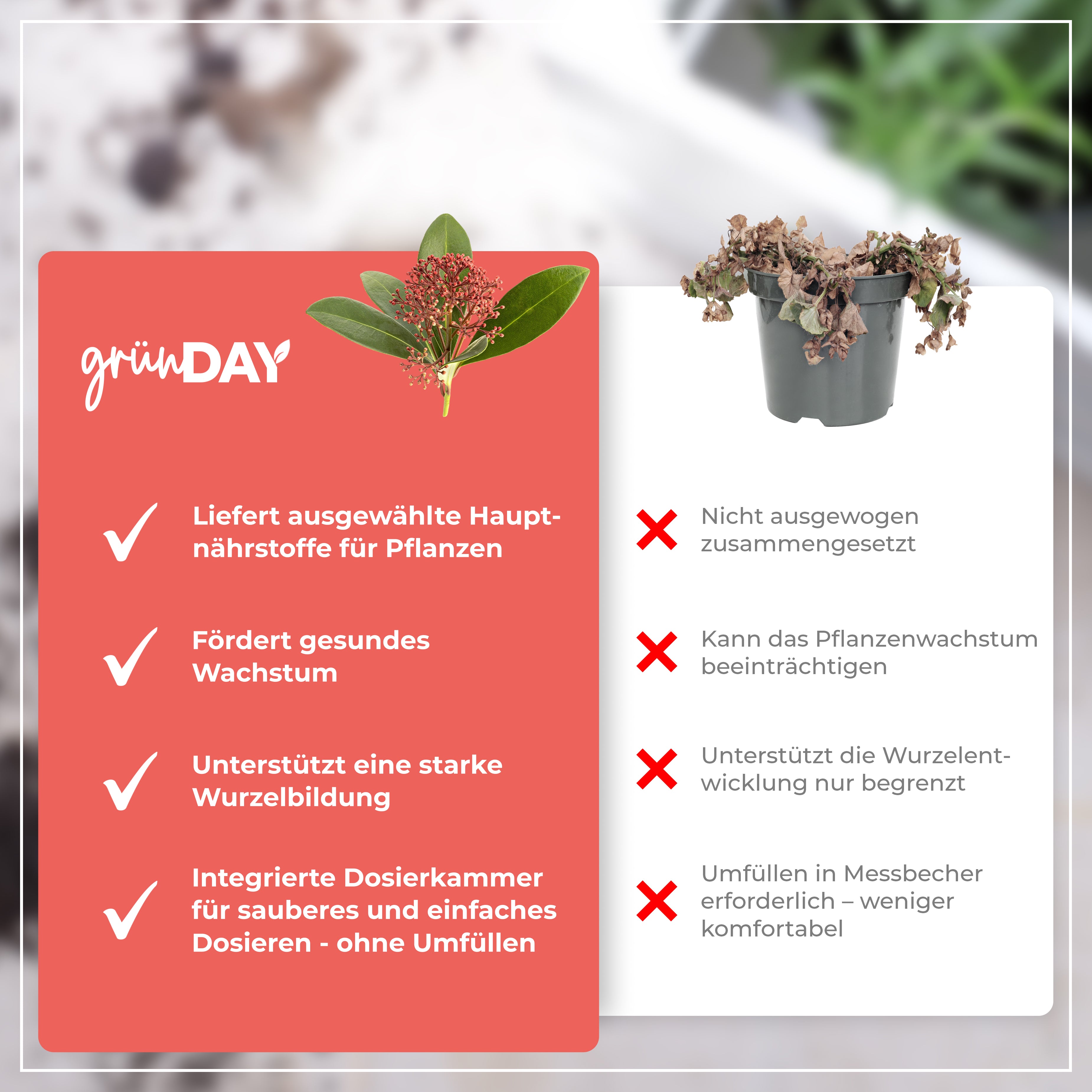 Gründay Skimmiedünger – Produktansicht 6