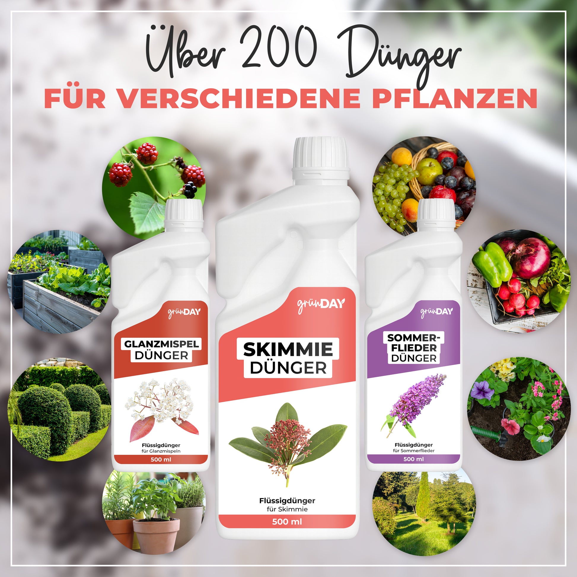 Gründay Skimmiedünger – Produktansicht 7
