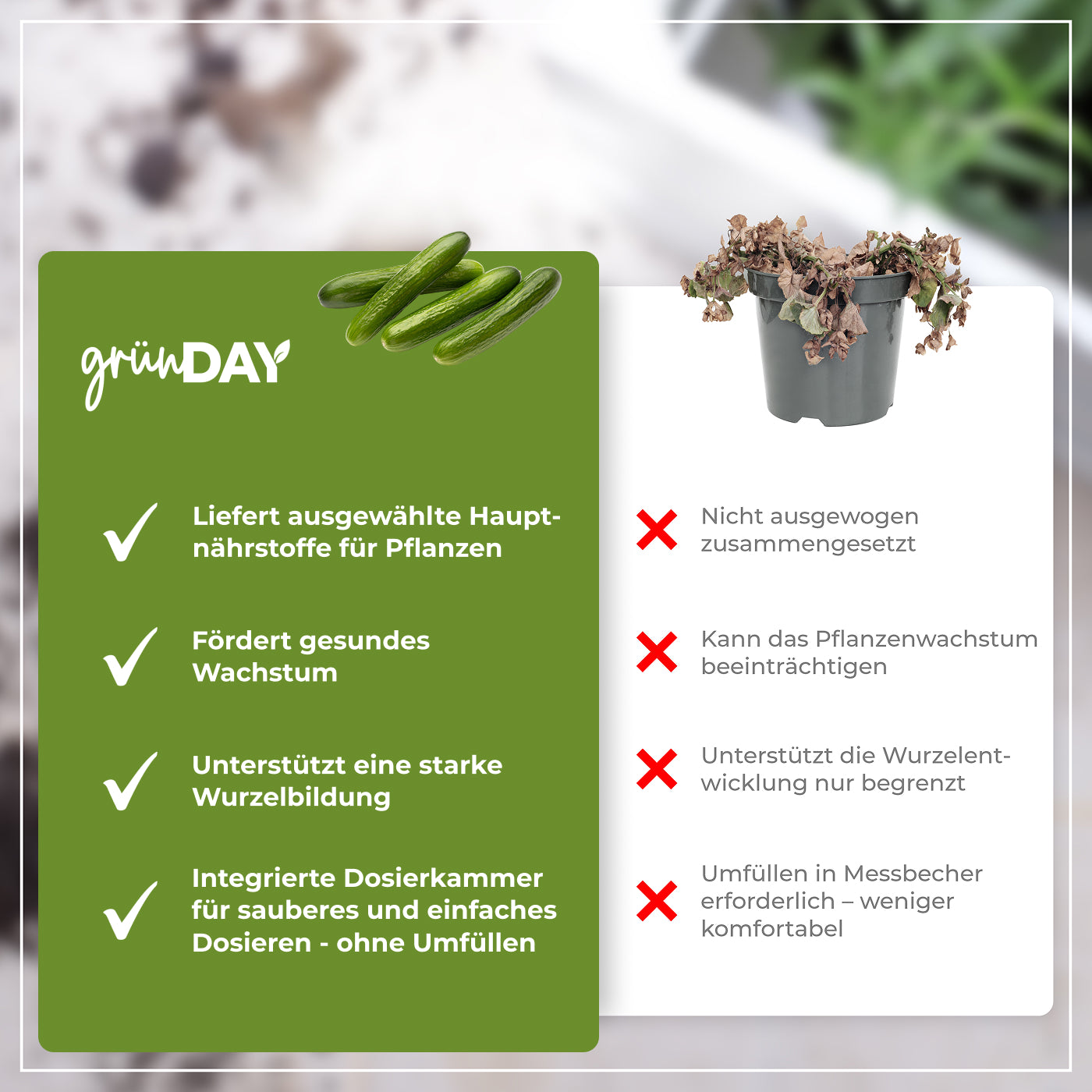 Gründay Snackgurkendünger – Produktansicht 6