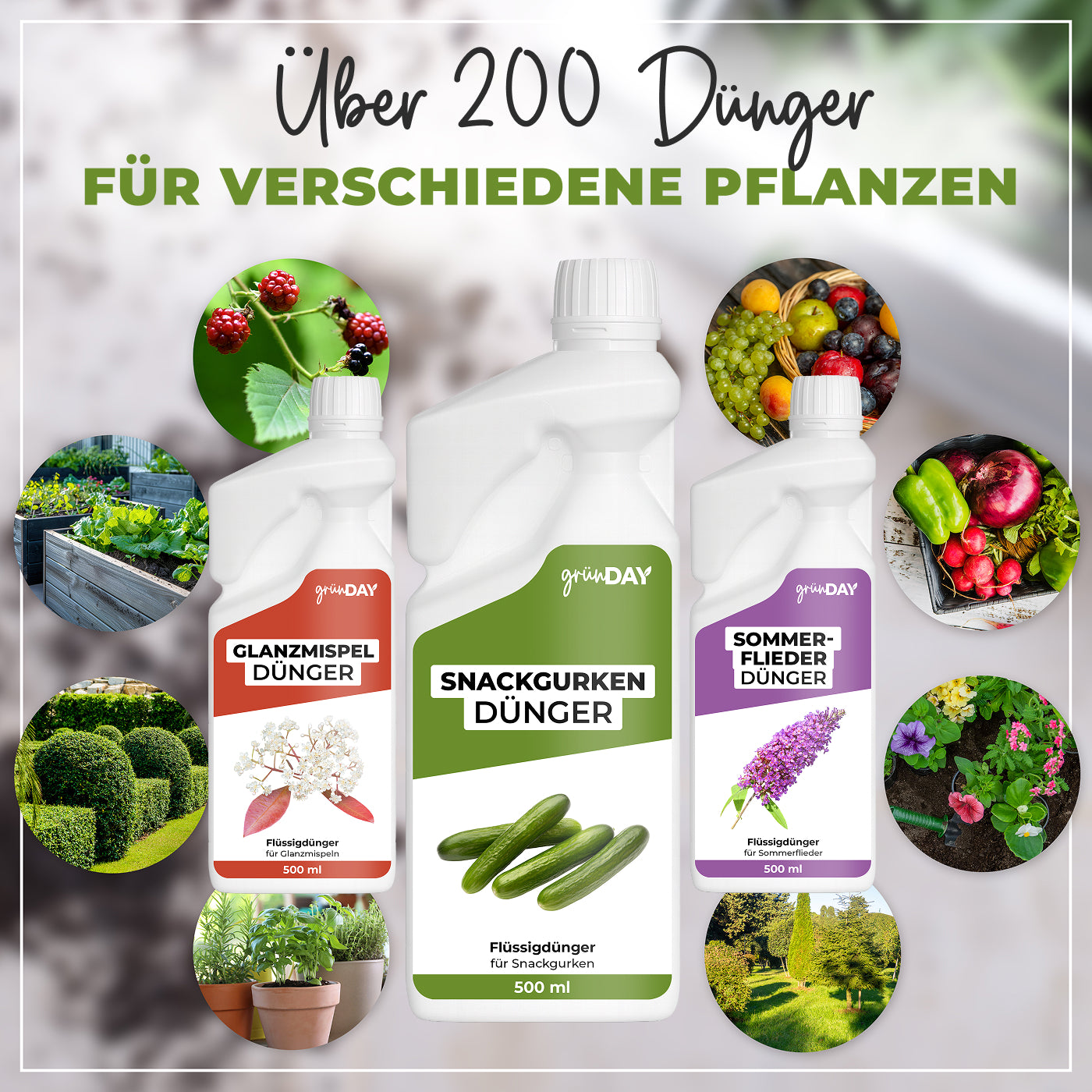 Gründay Snackgurkendünger – Produktansicht 7