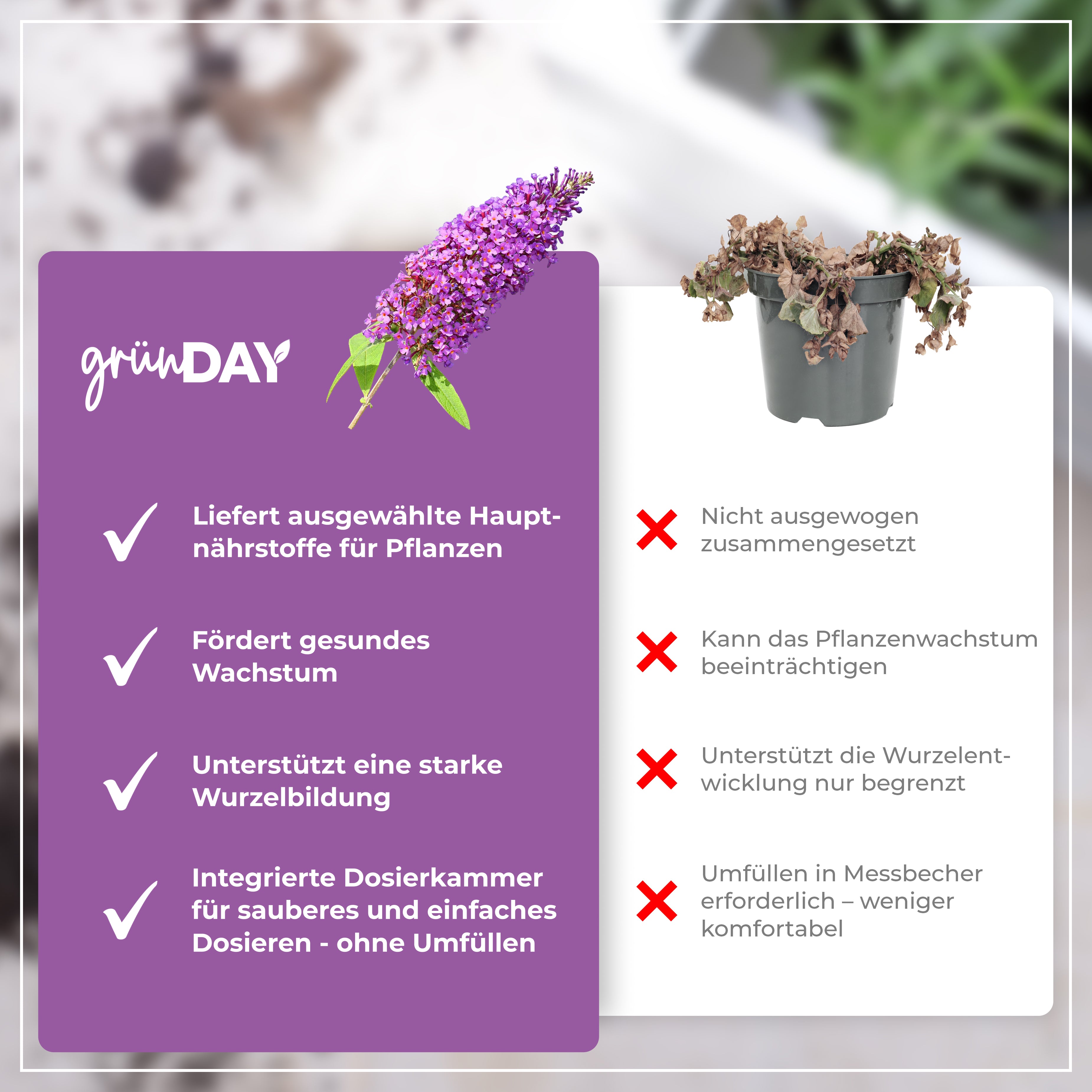 Gründay Sommerfliederdünger – Produktansicht 6