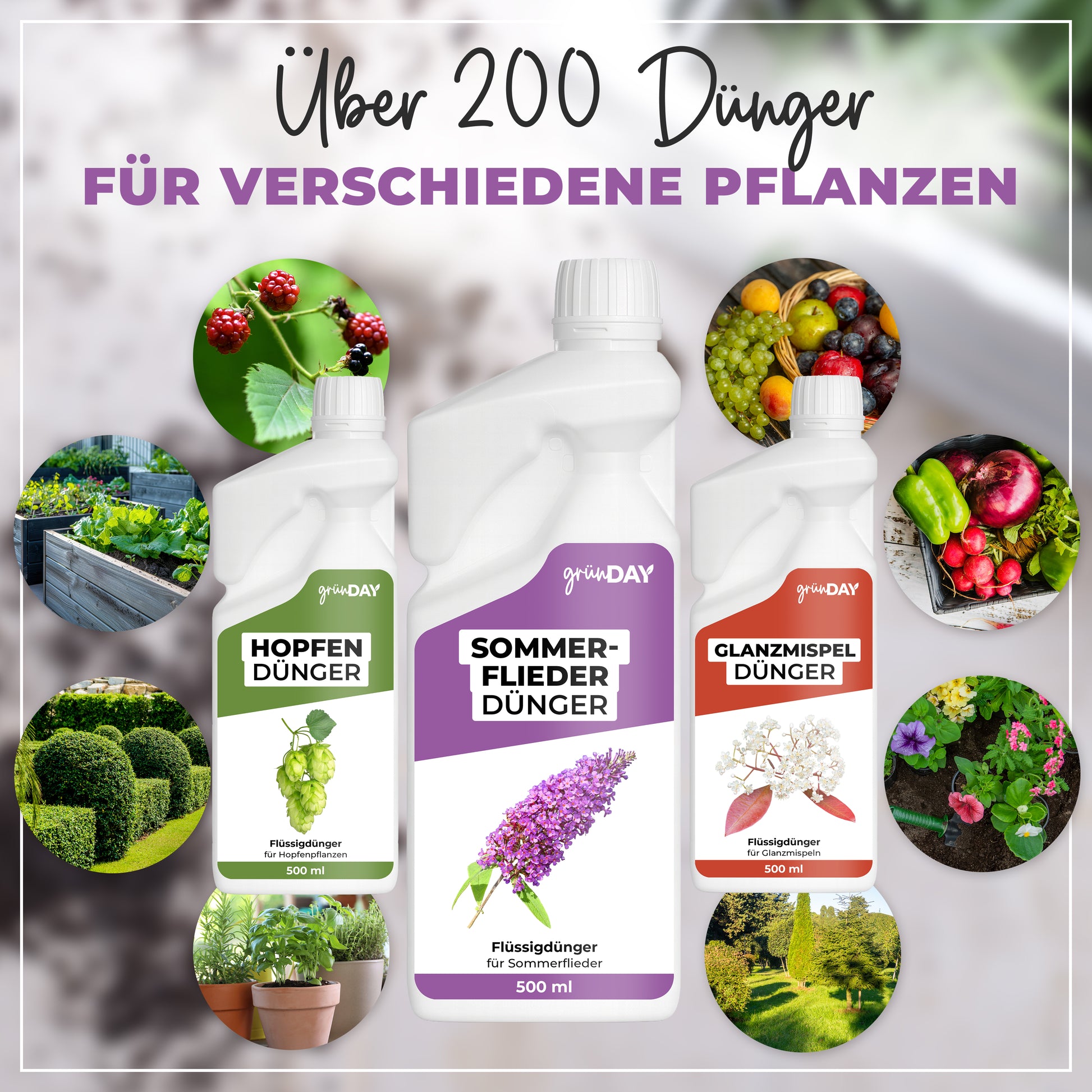Gründay Sommerfliederdünger – Produktansicht 7