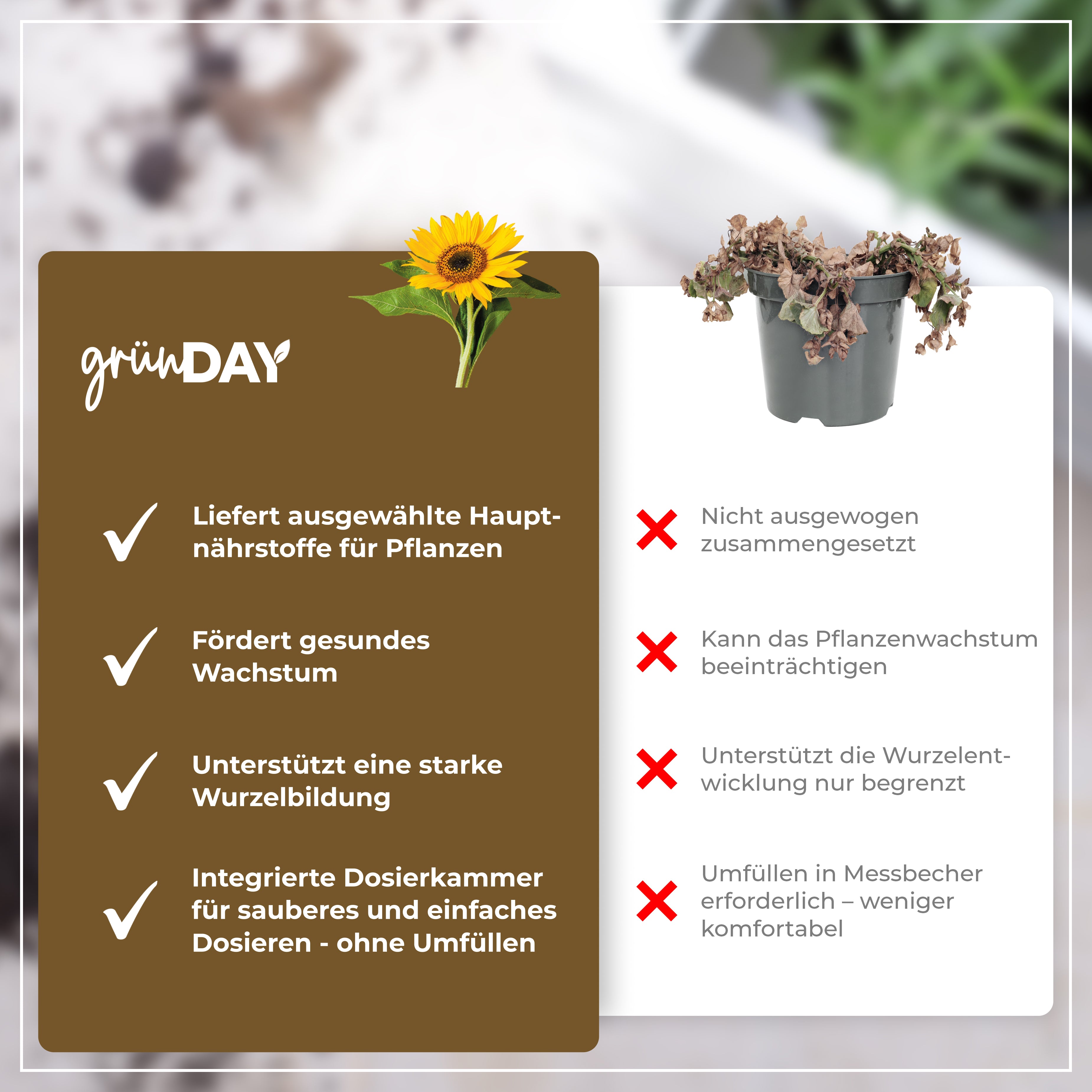 Gründay Sonnenblumendünger – Produktansicht 6