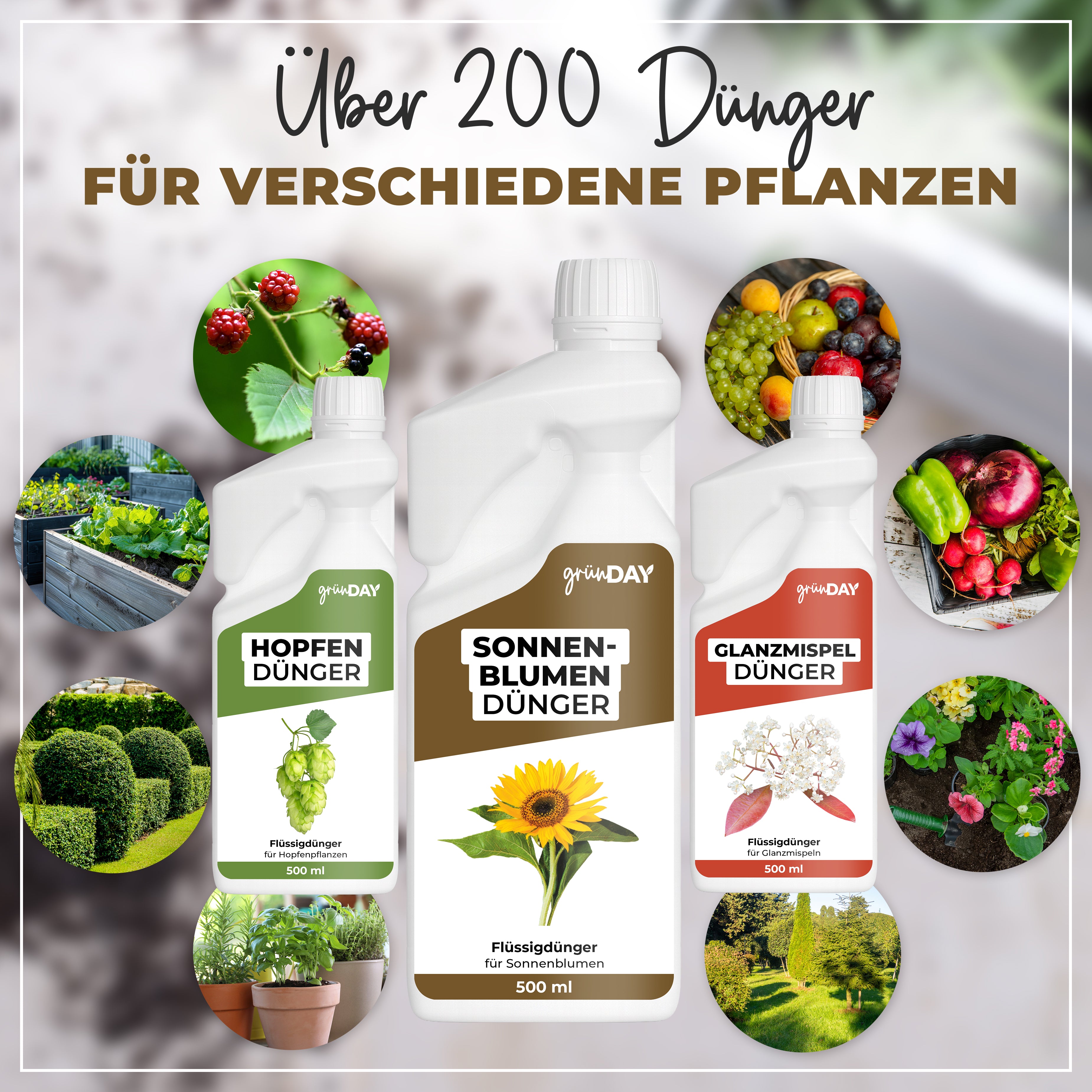 Gründay Sonnenblumendünger – Produktansicht 7