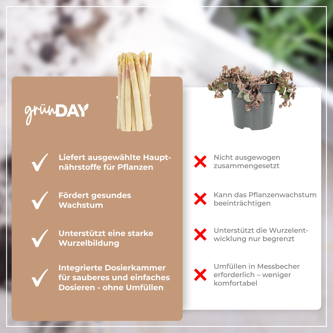 Gründay Spargeldünger – Produktansicht 6