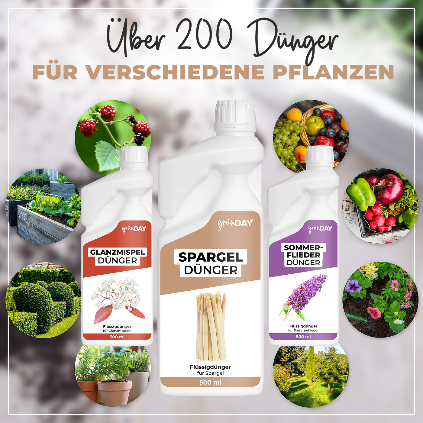Gründay Spargeldünger – Produktansicht 7