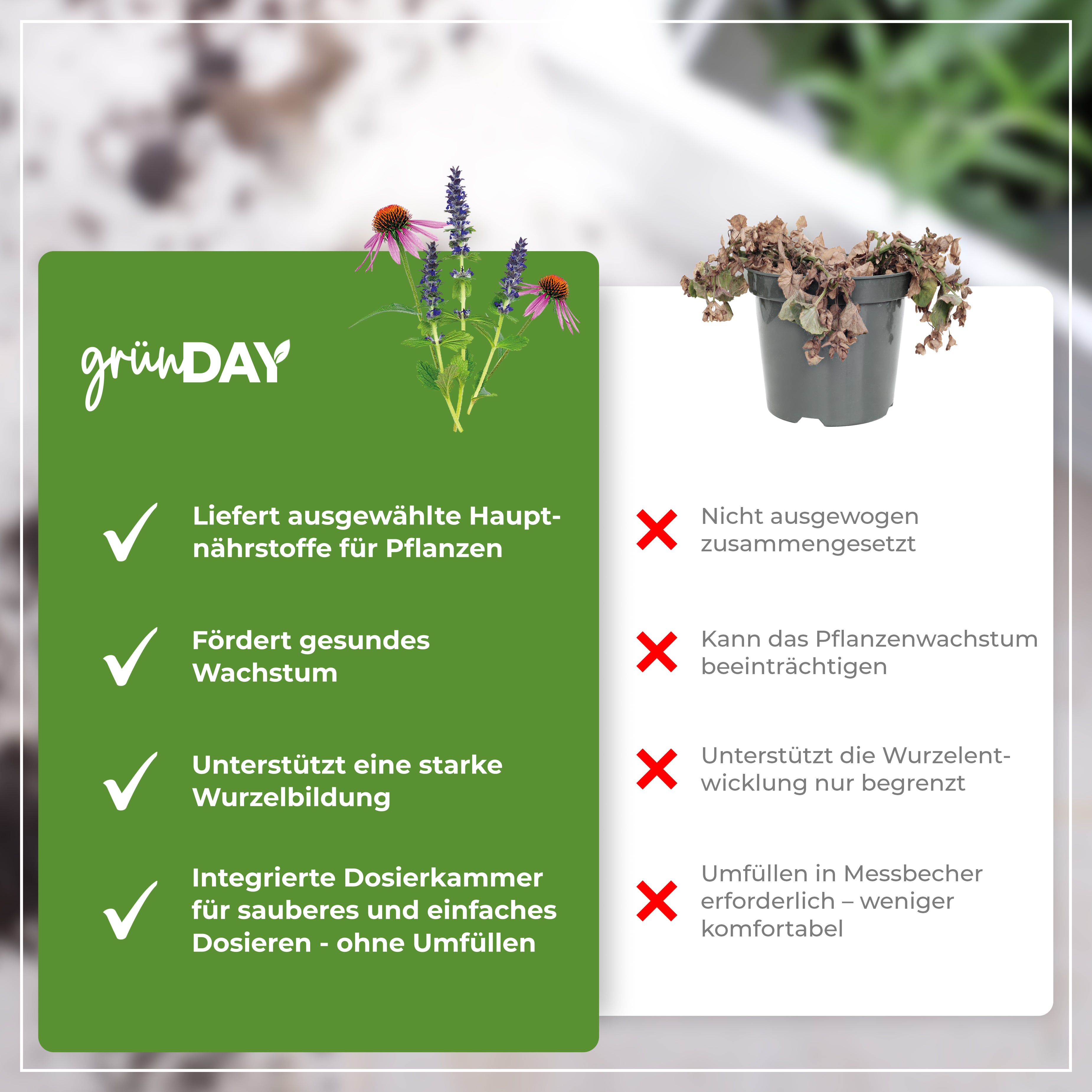 Gründay Staudendünger – Produktansicht 6