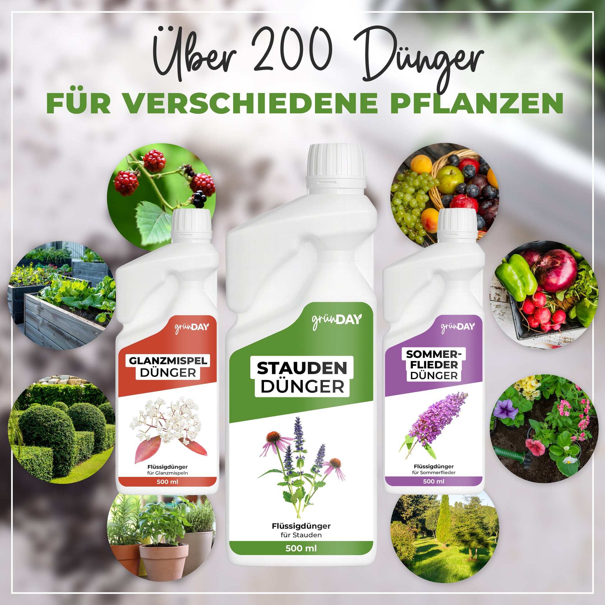 Gründay Staudendünger – Produktansicht 7