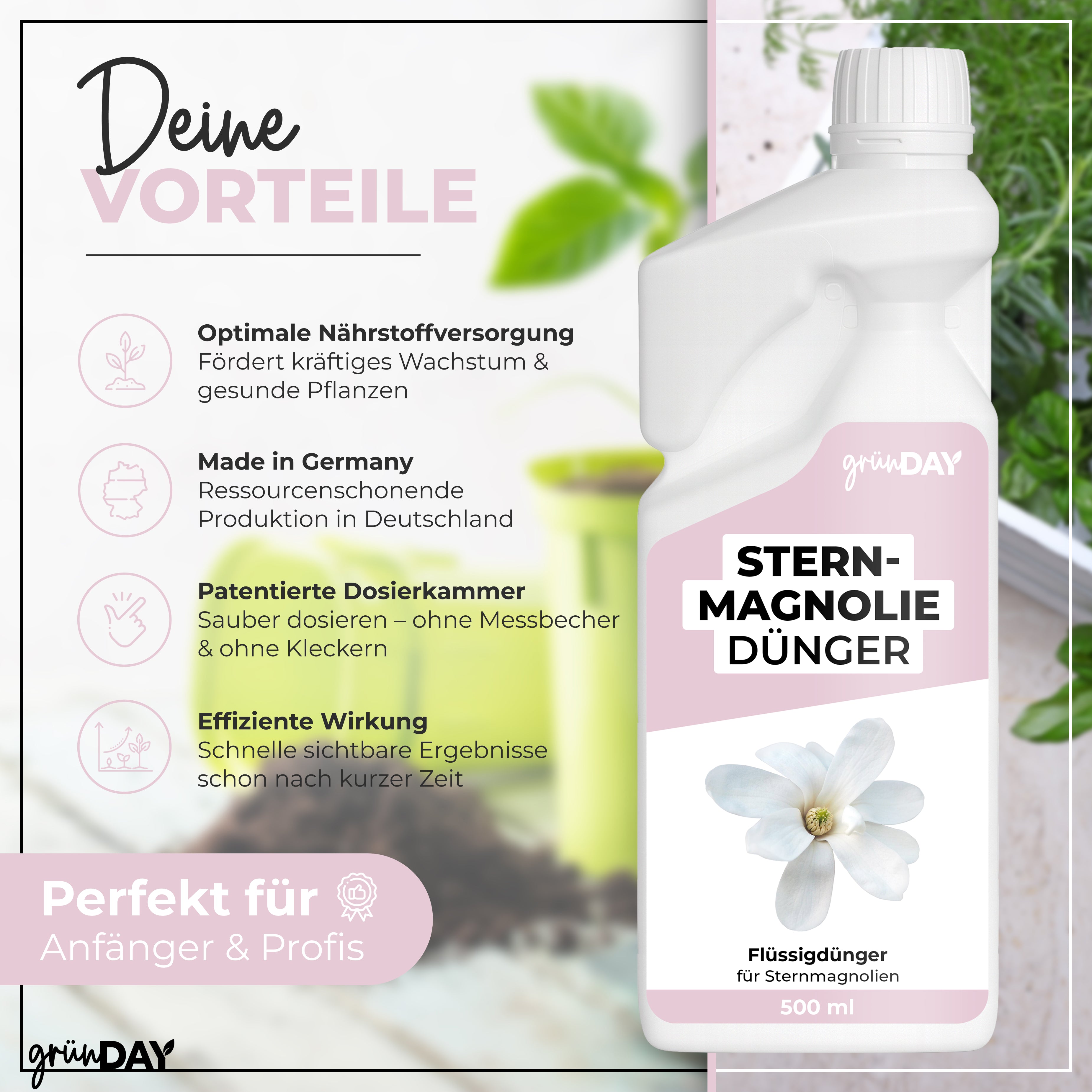 Gründay Sternmagnoliedünger – Produktansicht 2