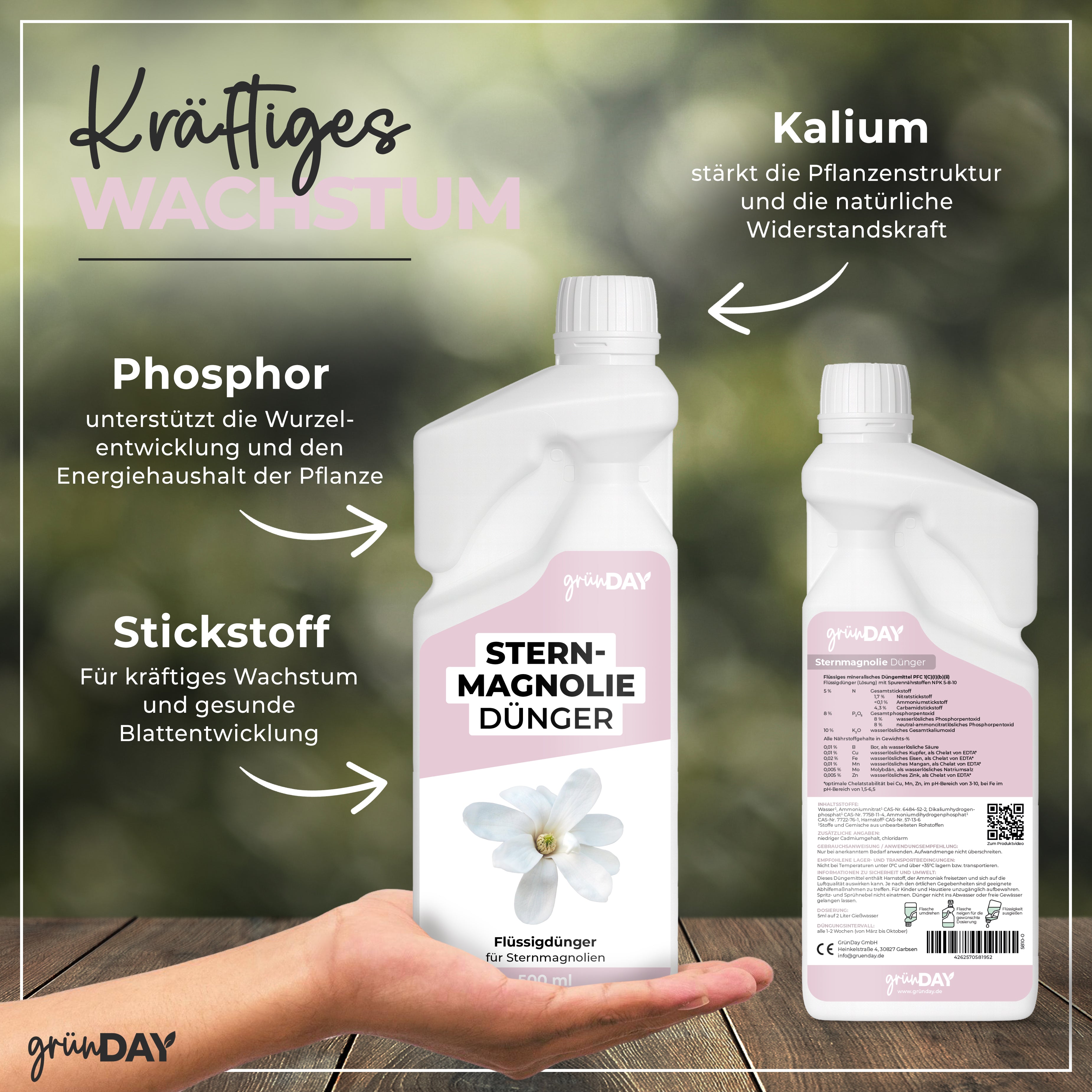 Gründay Sternmagnoliedünger – Produktansicht 4