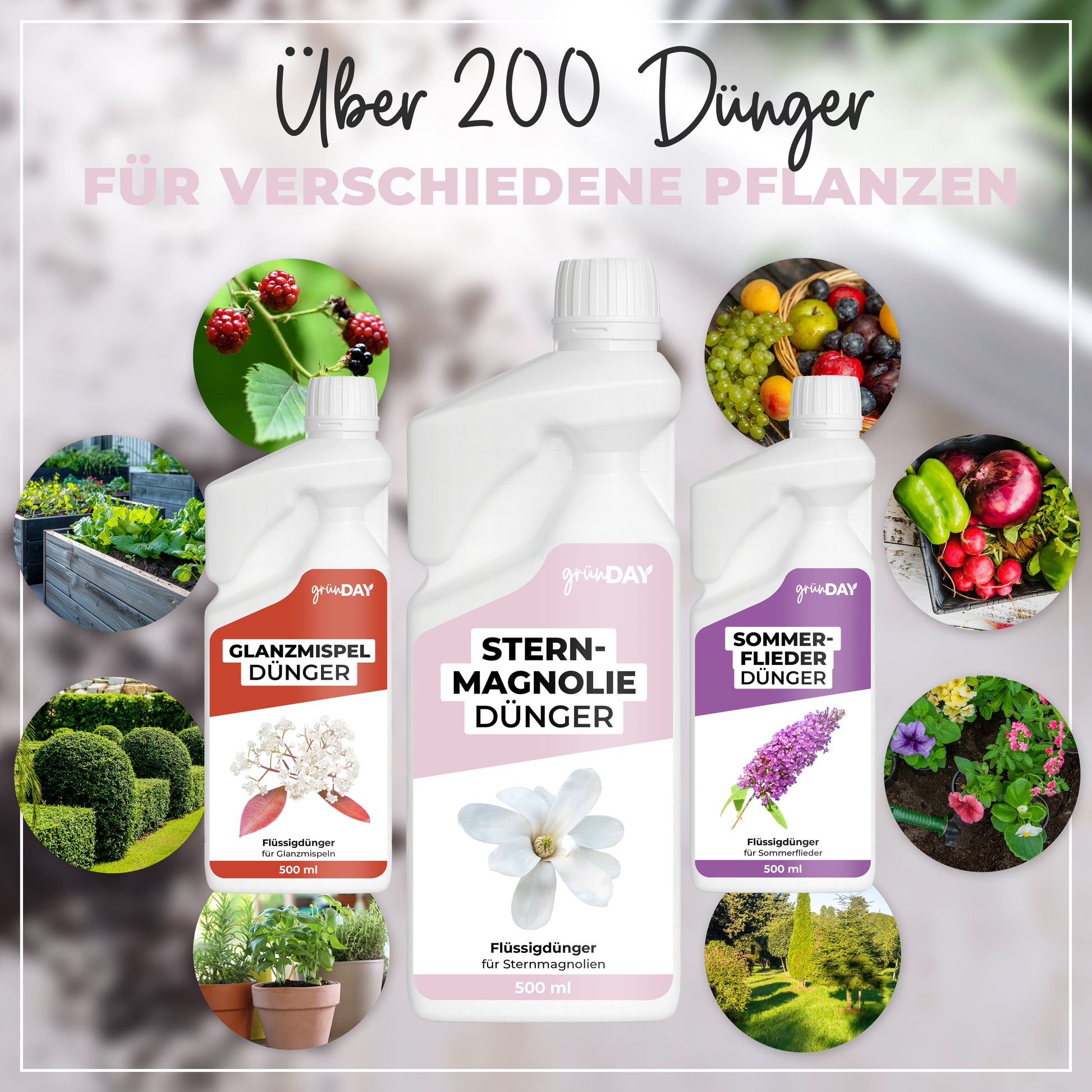 Gründay Sternmagnoliedünger – Produktansicht 7