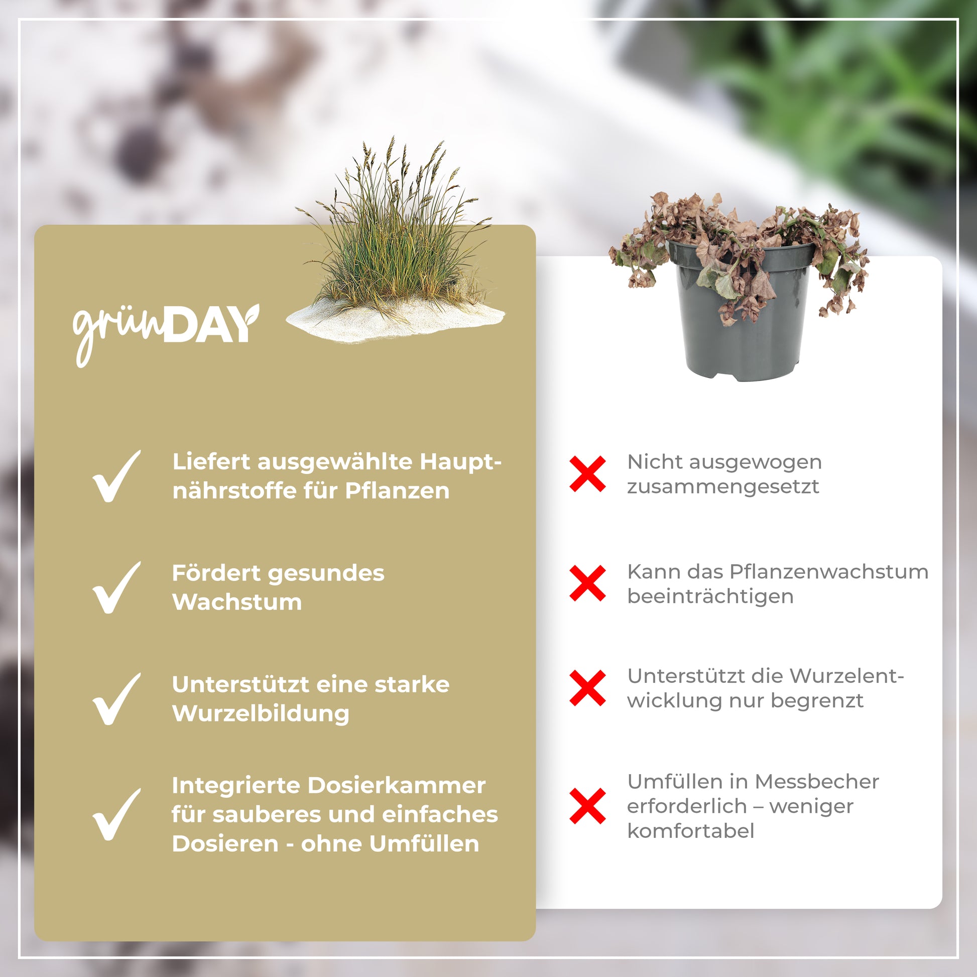 Gründay Strandhafer Dünger – Produktansicht 6