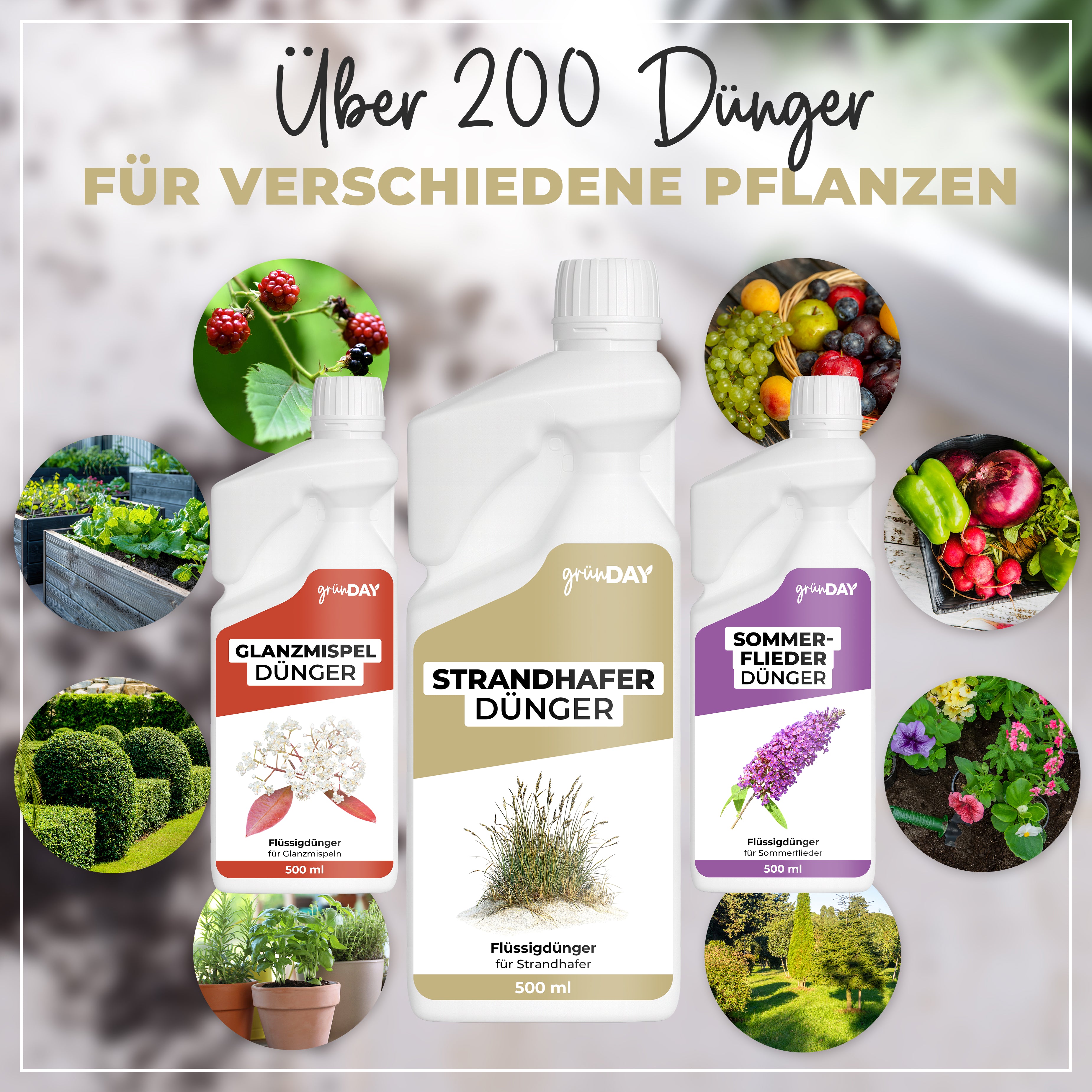 Gründay Strandhafer Dünger – Produktansicht 7