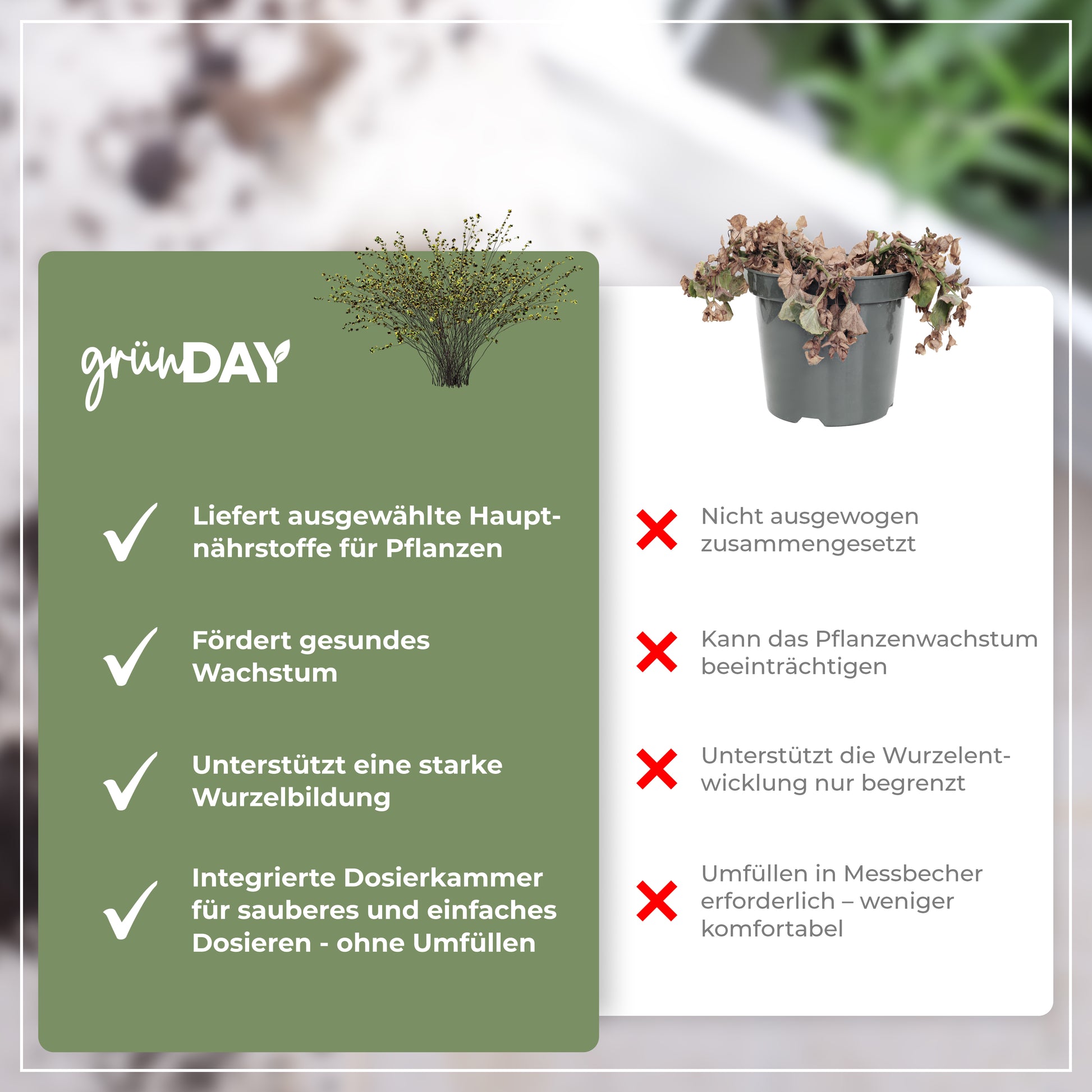 Gründay Strauchdünger – Produktansicht 6