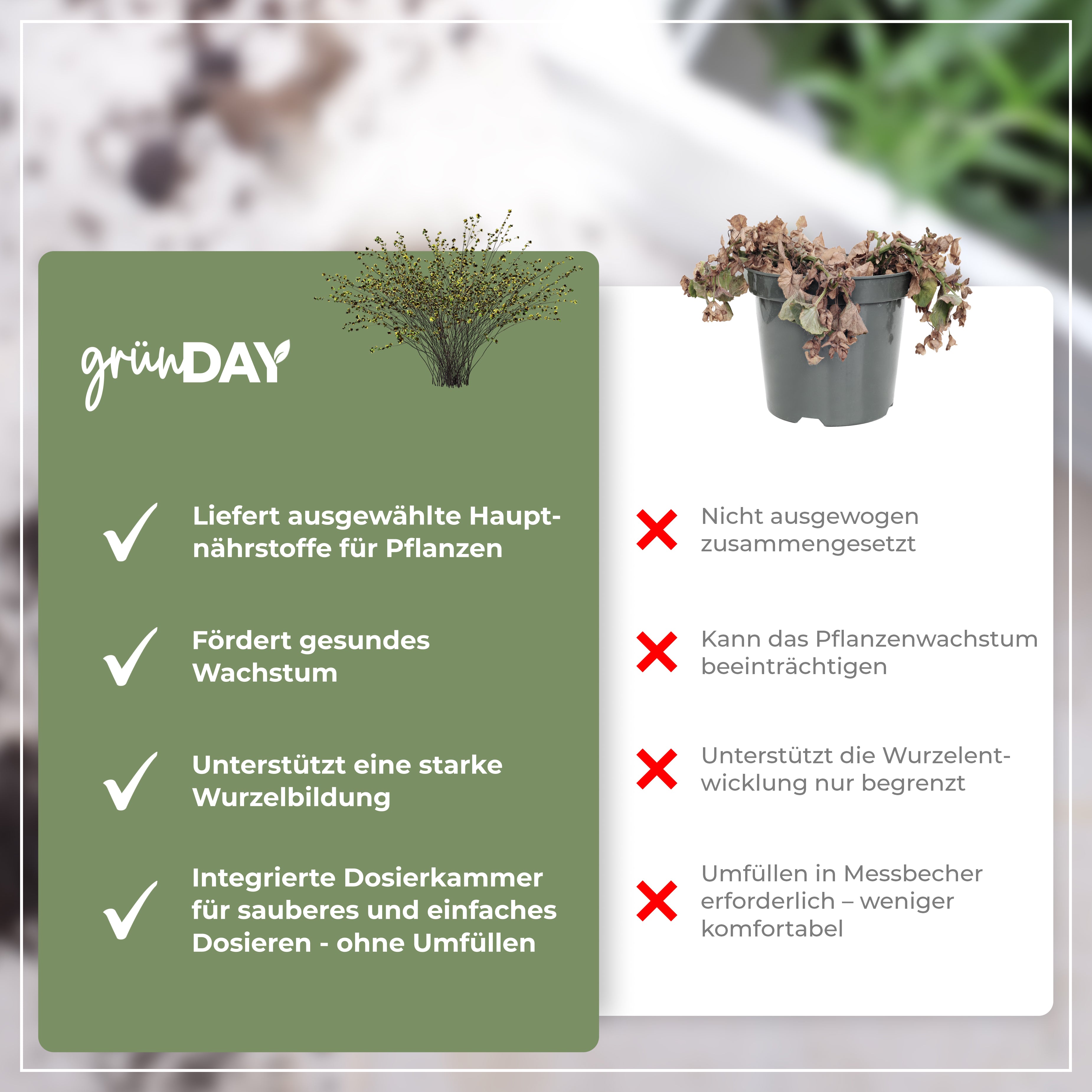 Gründay Strauchdünger – Produktansicht 6