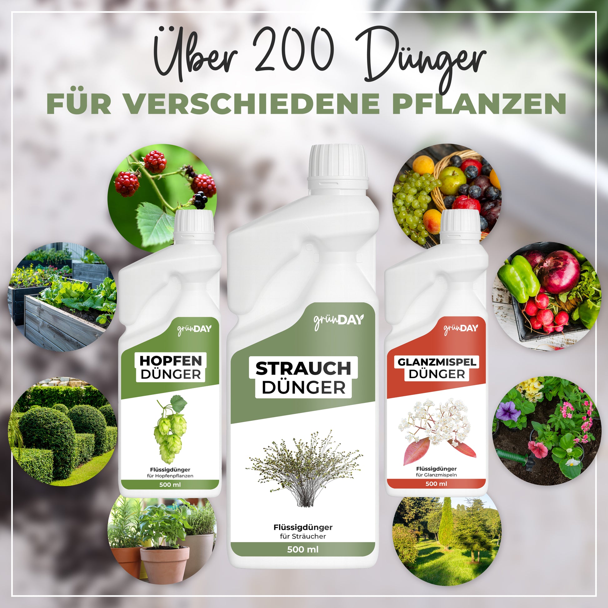 Gründay Strauchdünger – Produktansicht 7