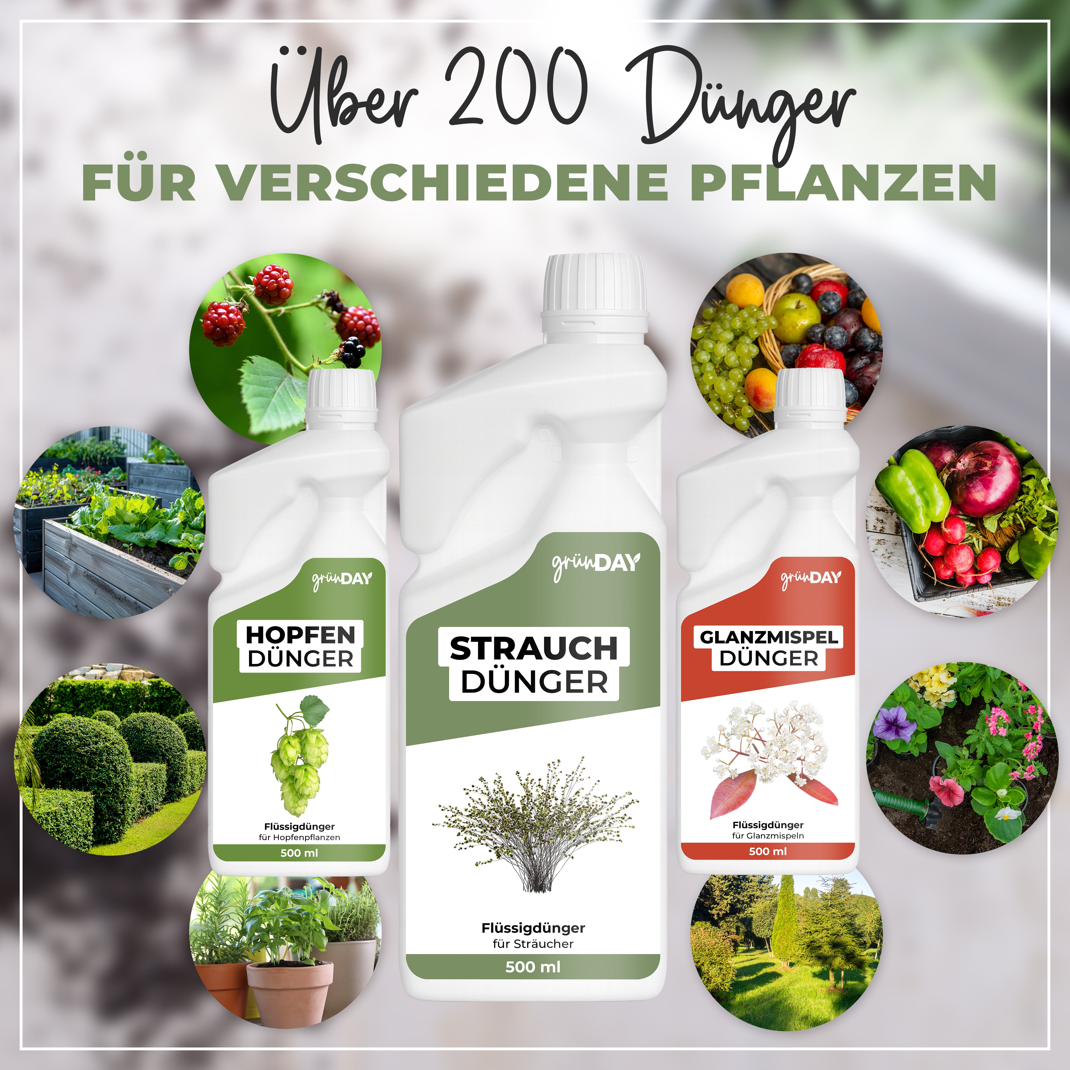 Gründay Strauchdünger – Produktansicht 7