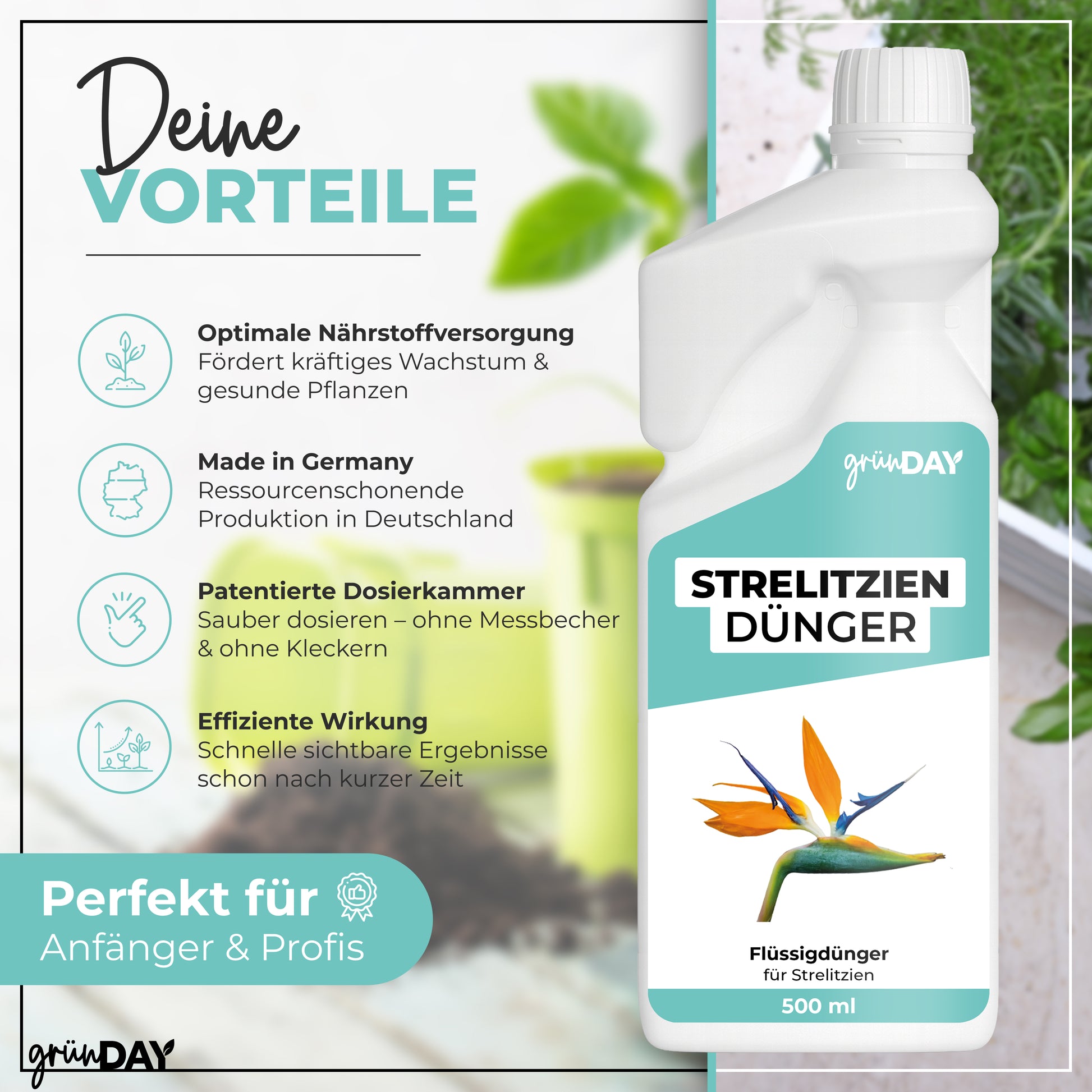 Gründay Strelitziendünger – Produktansicht 2