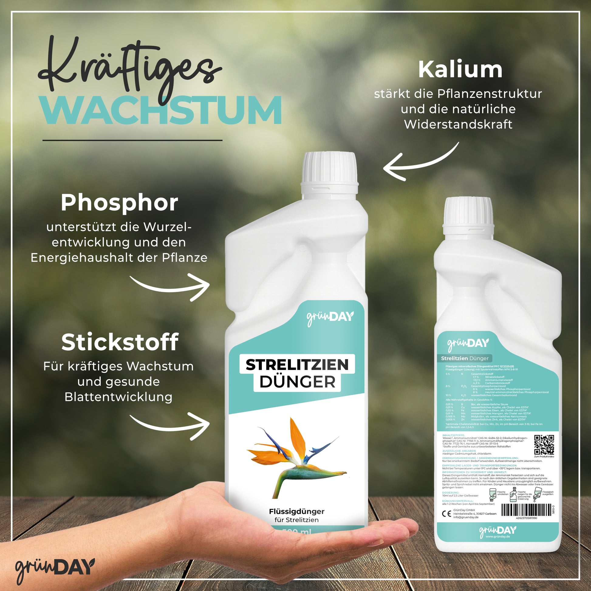Gründay Strelitziendünger – Produktansicht 4