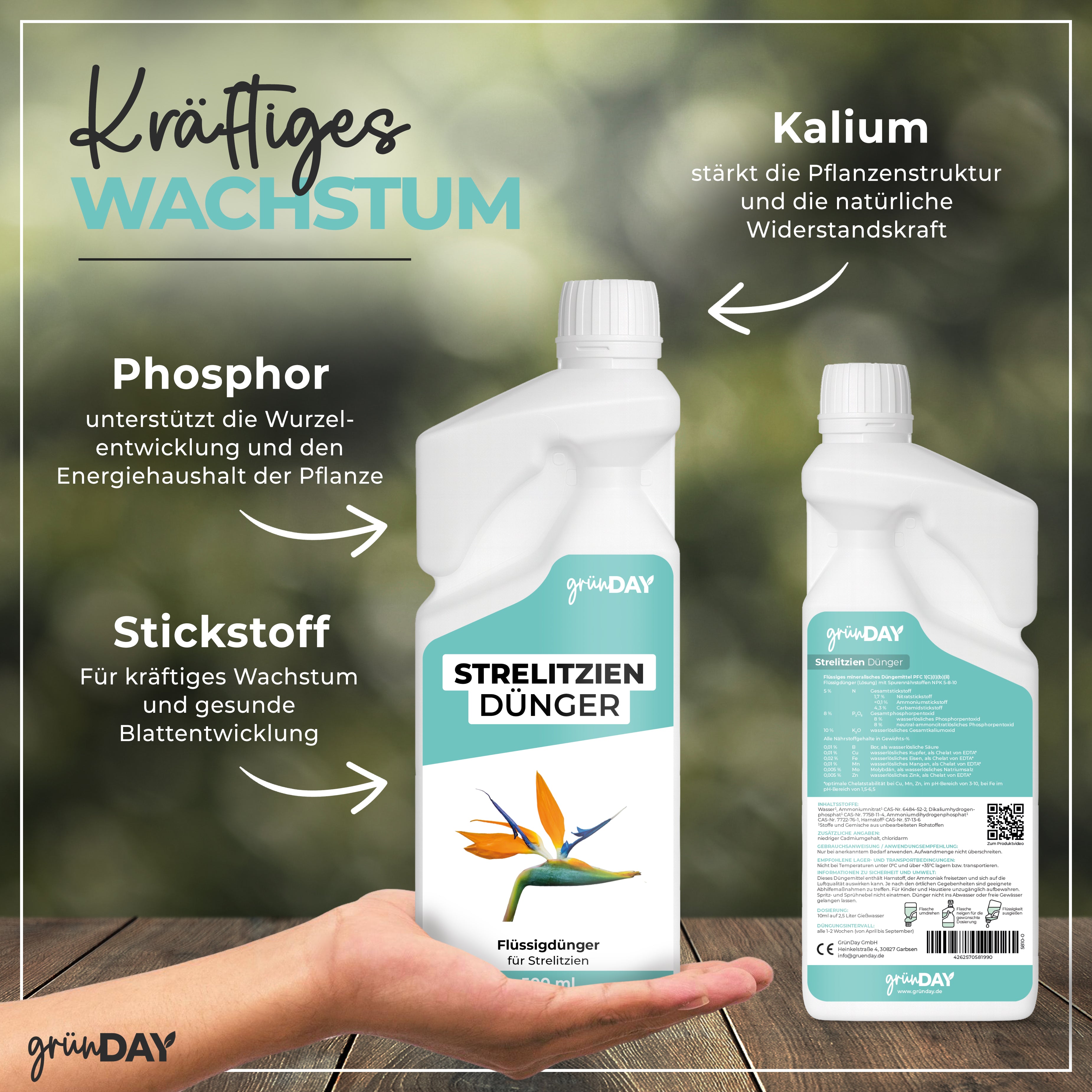 Gründay Strelitziendünger – Produktansicht 4