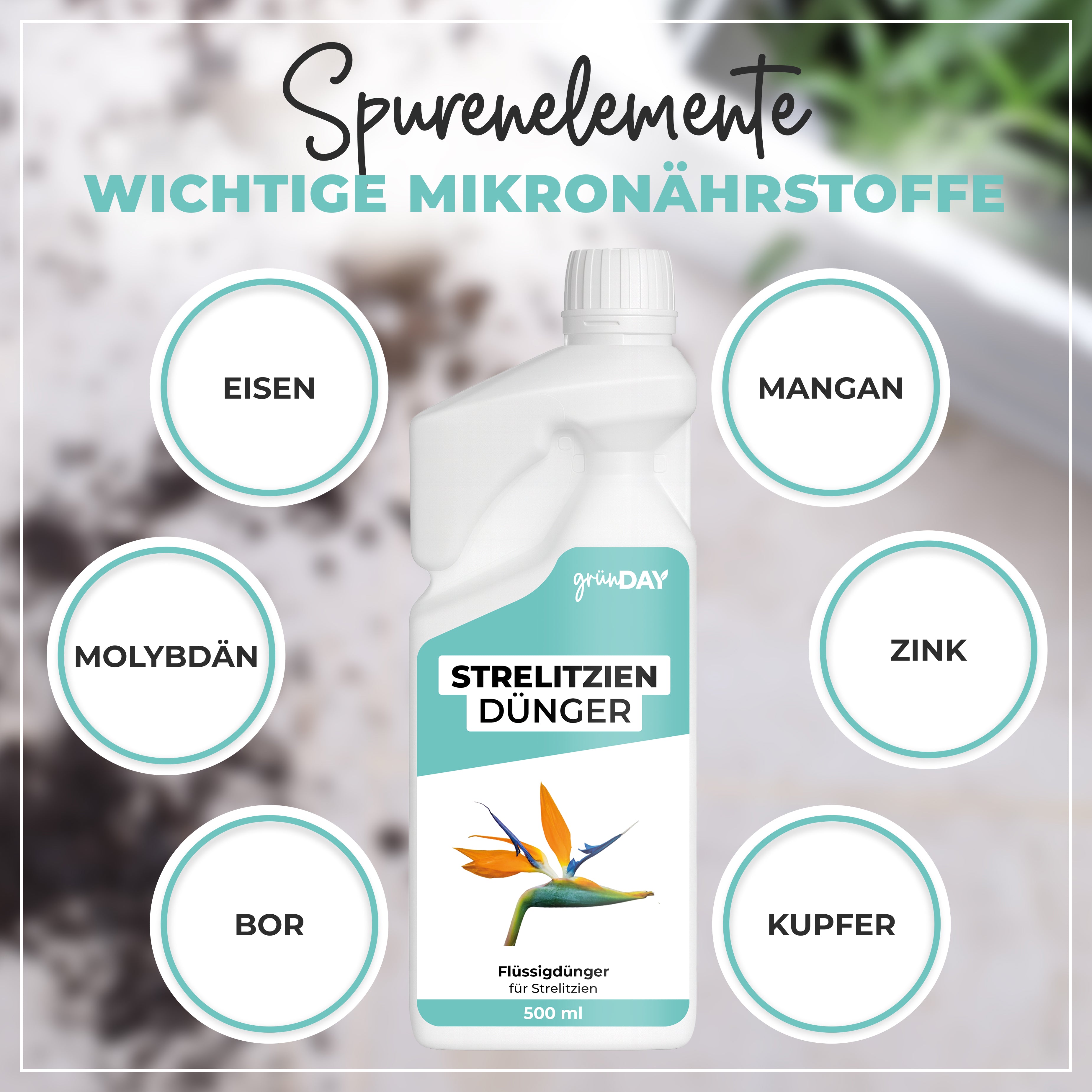 Gründay Strelitziendünger – Produktansicht 5