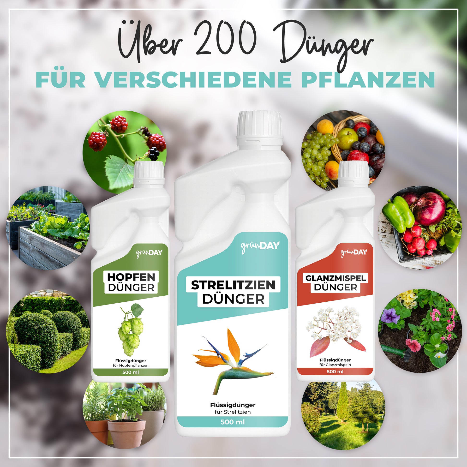 Gründay Strelitziendünger – Produktansicht 7