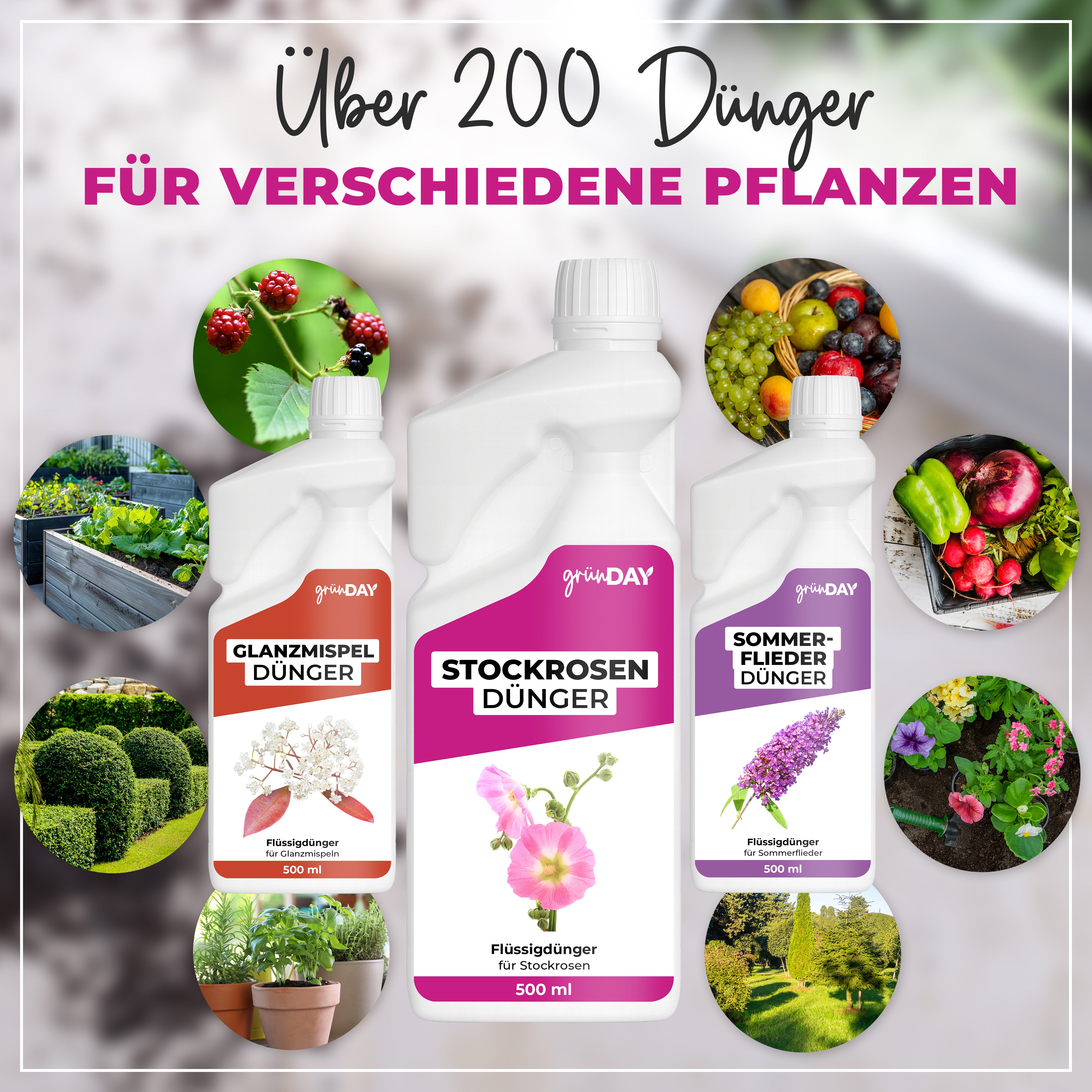Stockrosen-Flüssigdünger 500 ml