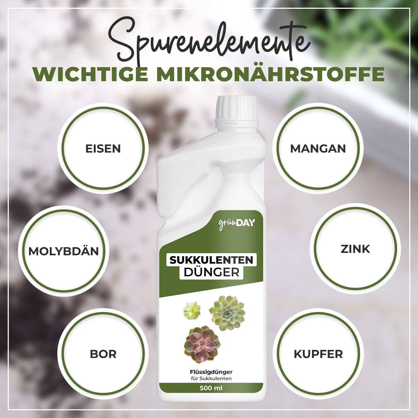 Gründay Sukkulentendünger – Produktansicht 5