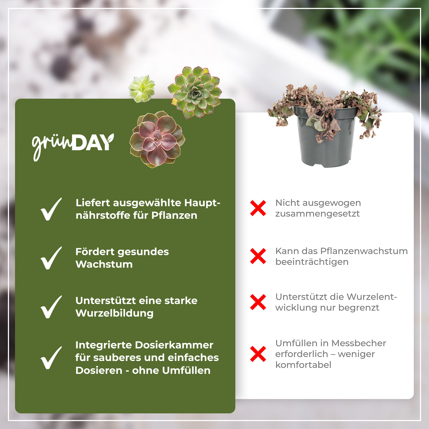 Gründay Sukkulentendünger – Produktansicht 6